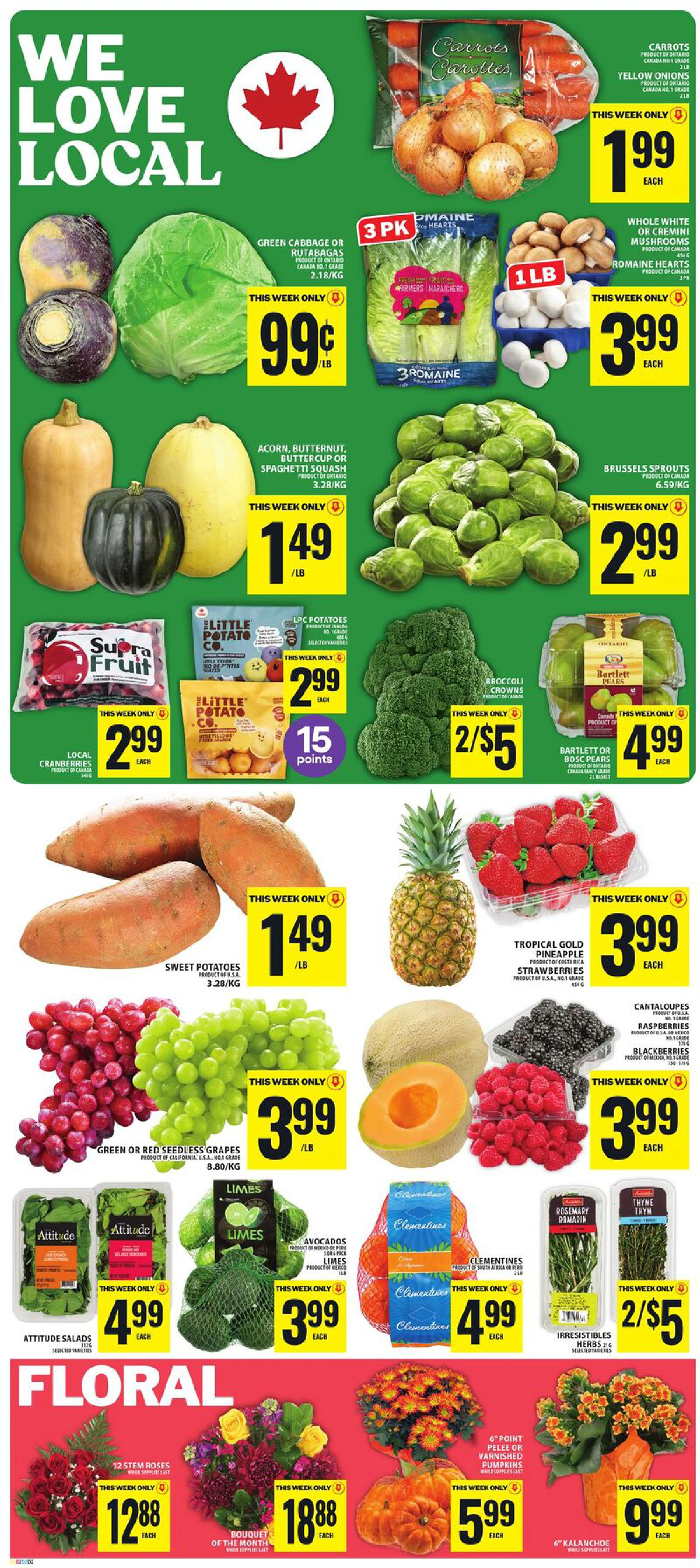 Food Basics Weekly Flyer FORMAT 4 (GTA) - Page 3