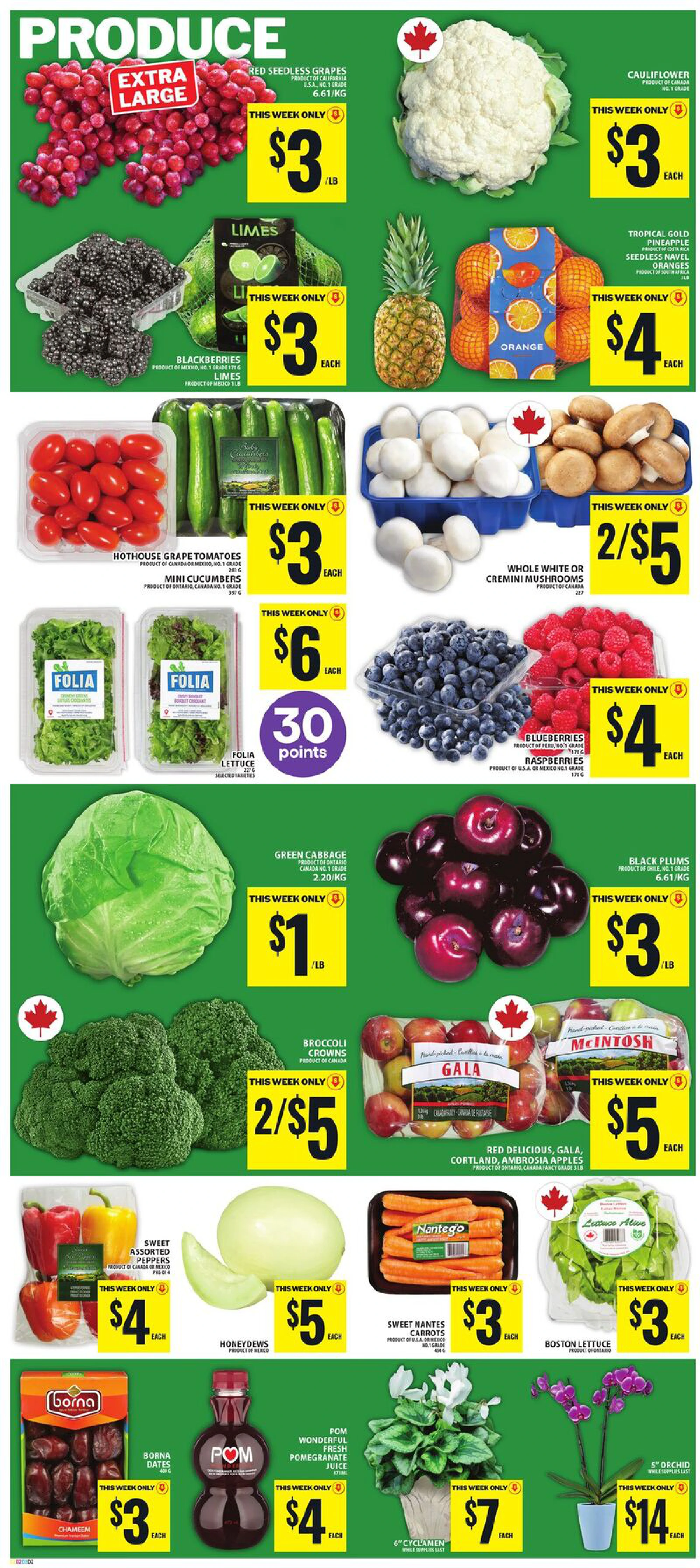 Food Basics Weekly Flyer FORMAT 4 (GTA) - Page 5
