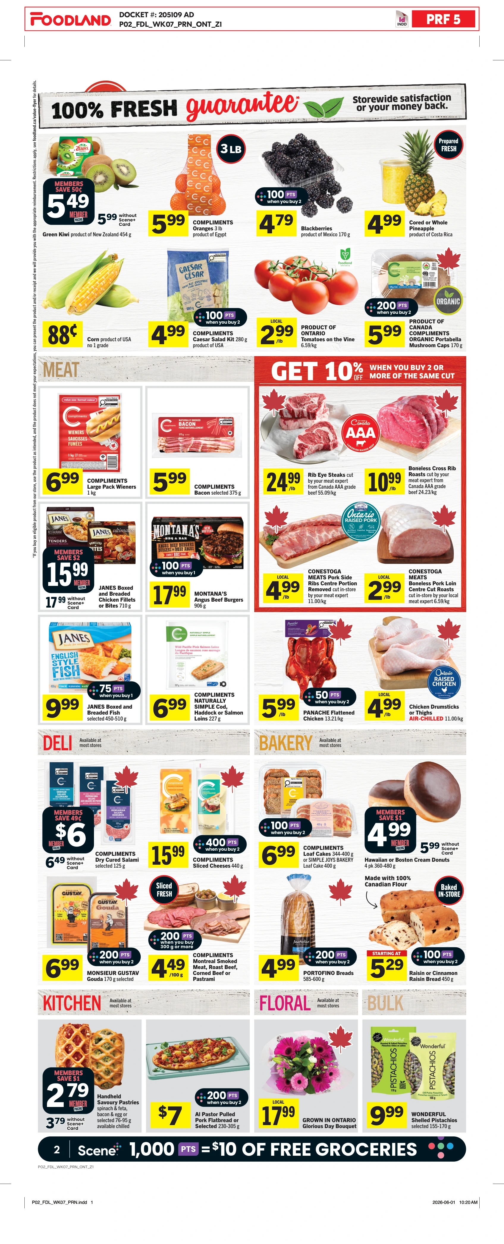 Flyer page 3