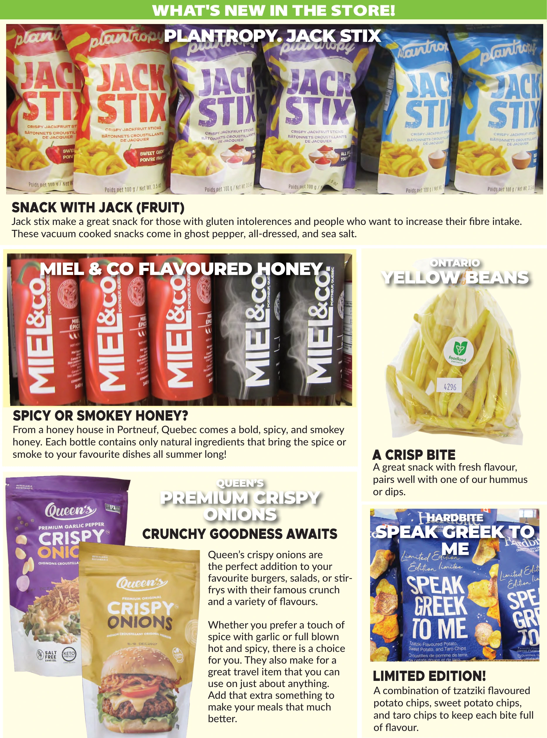 Flyer page 6