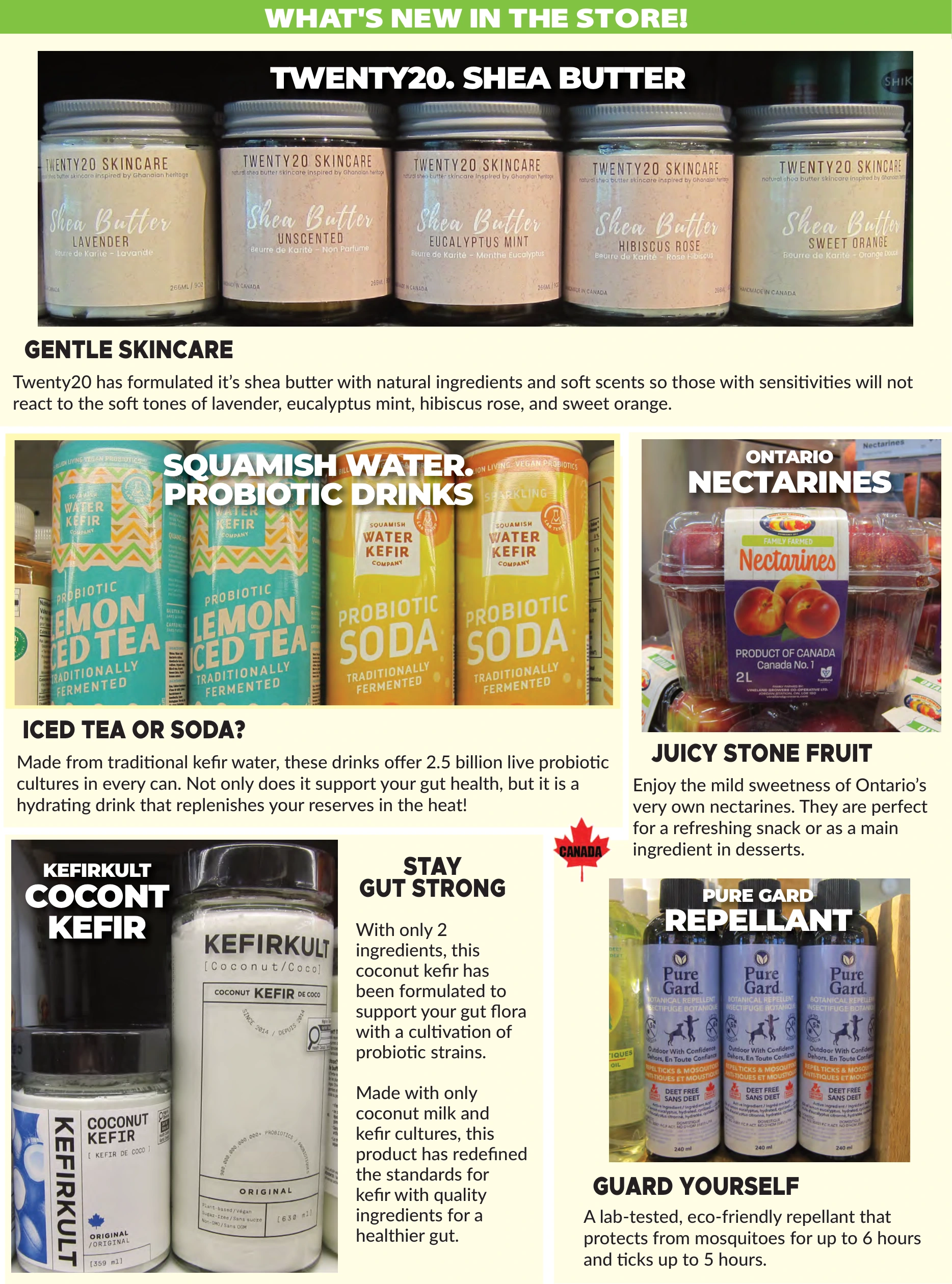 Flyer page 5