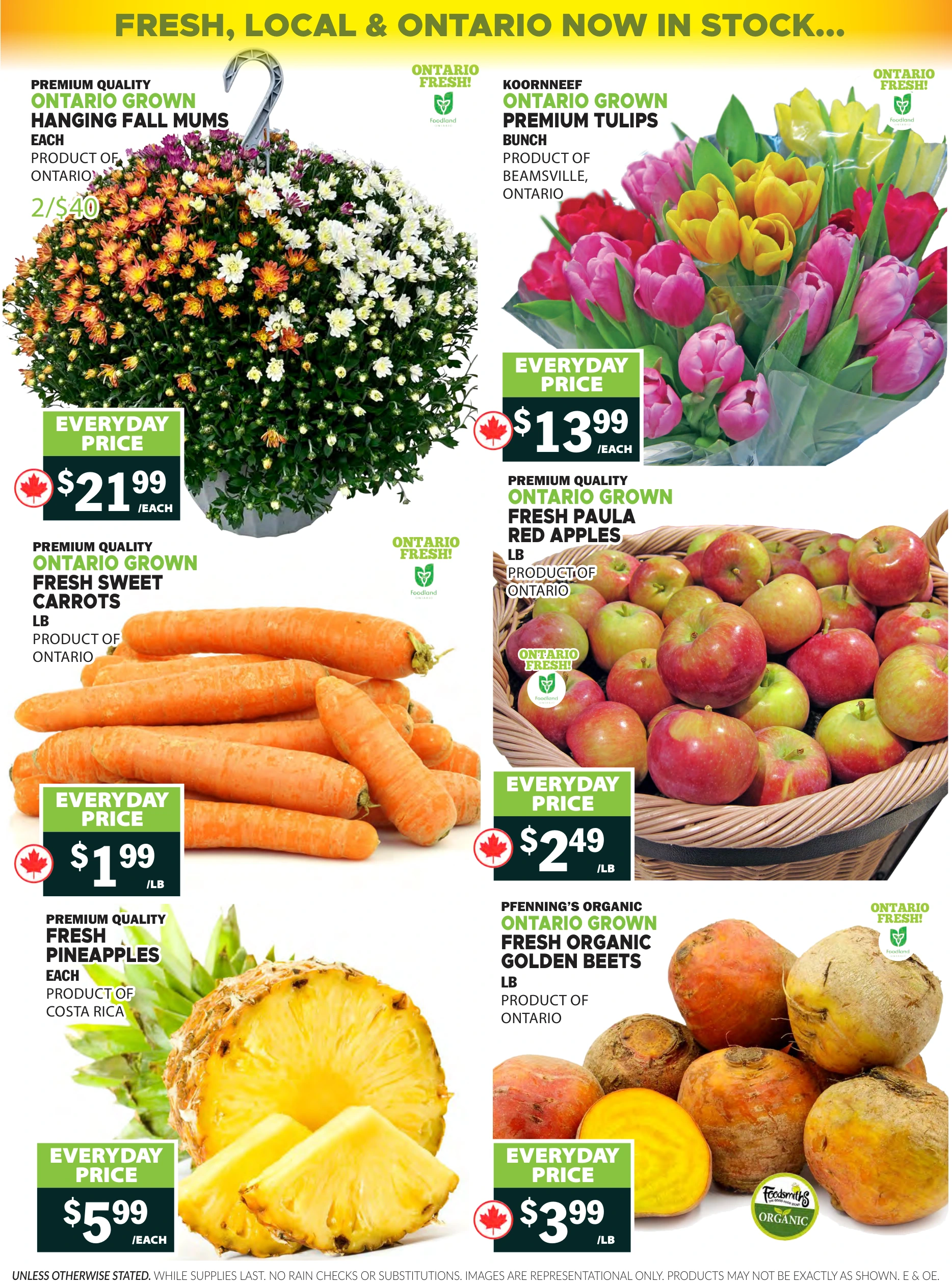 Foodsmiths Weekly Flyer - Page 4