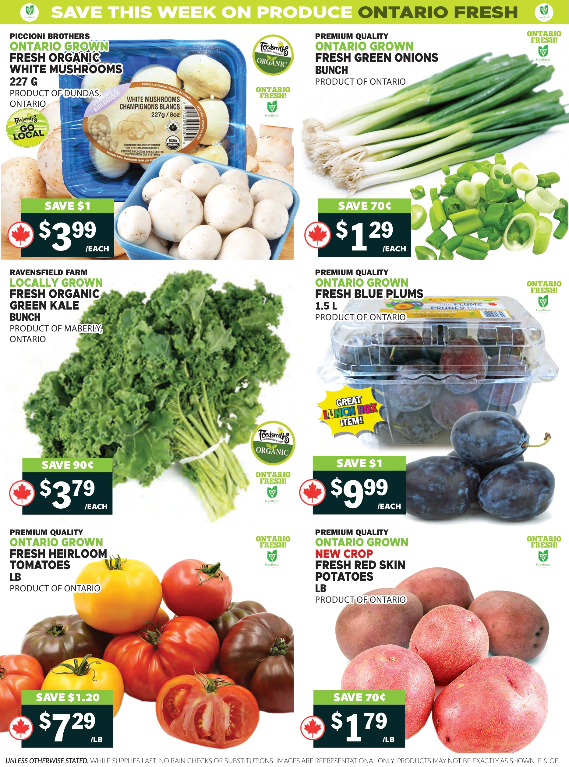 Foodsmiths Weekly Flyer - Page 4