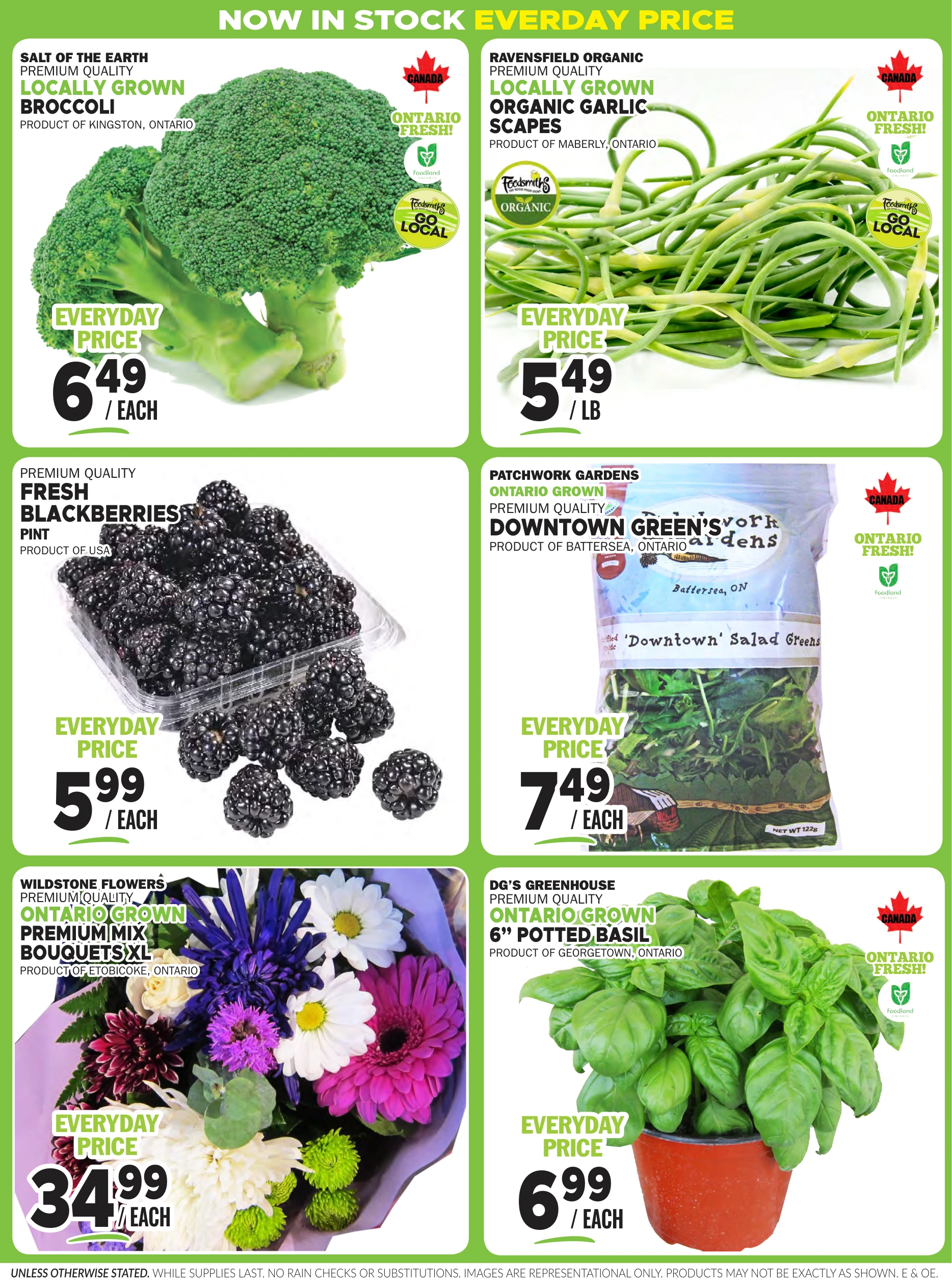 Flyer page 4