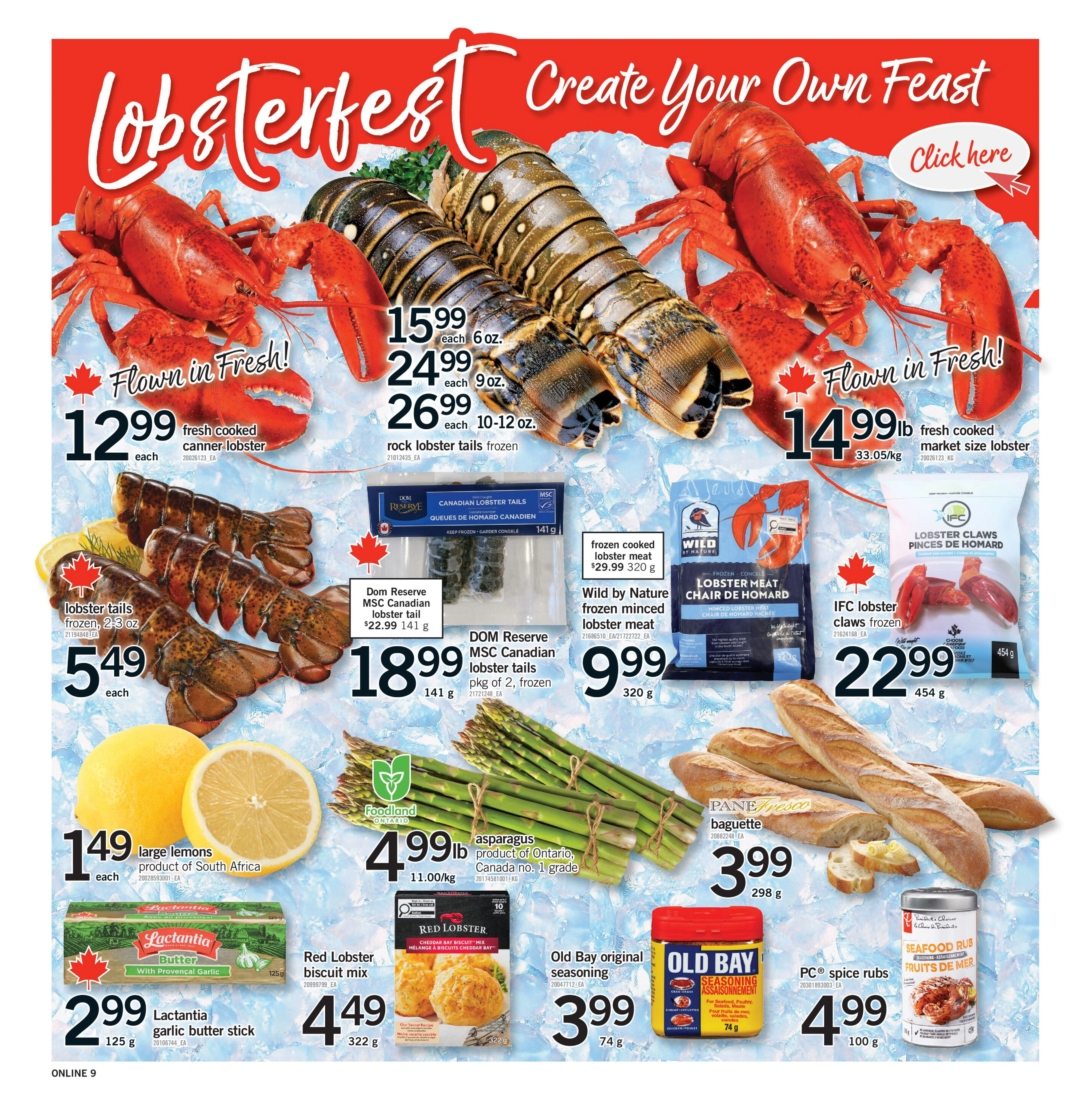 Flyer page 9