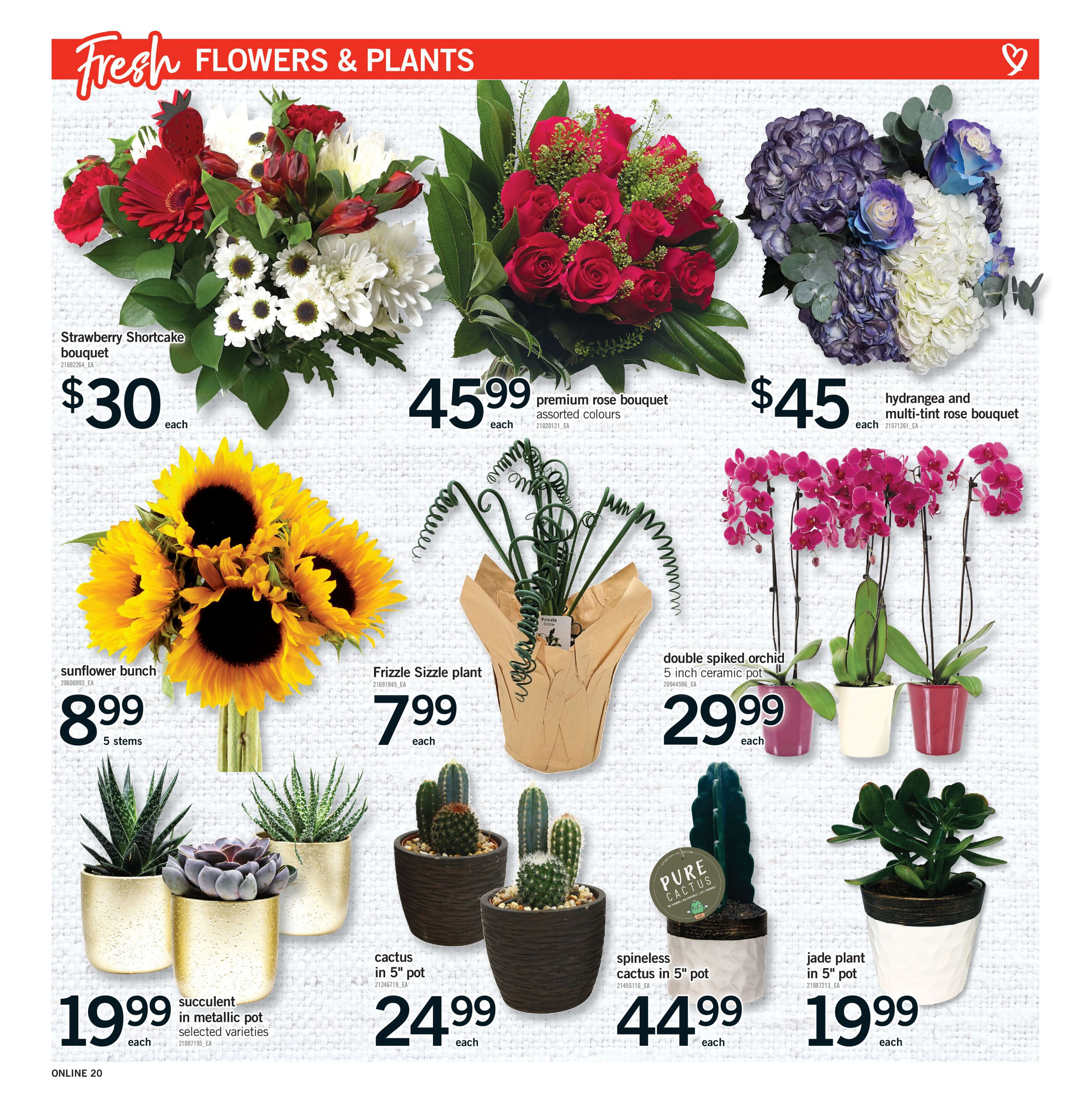 Flyer page 20