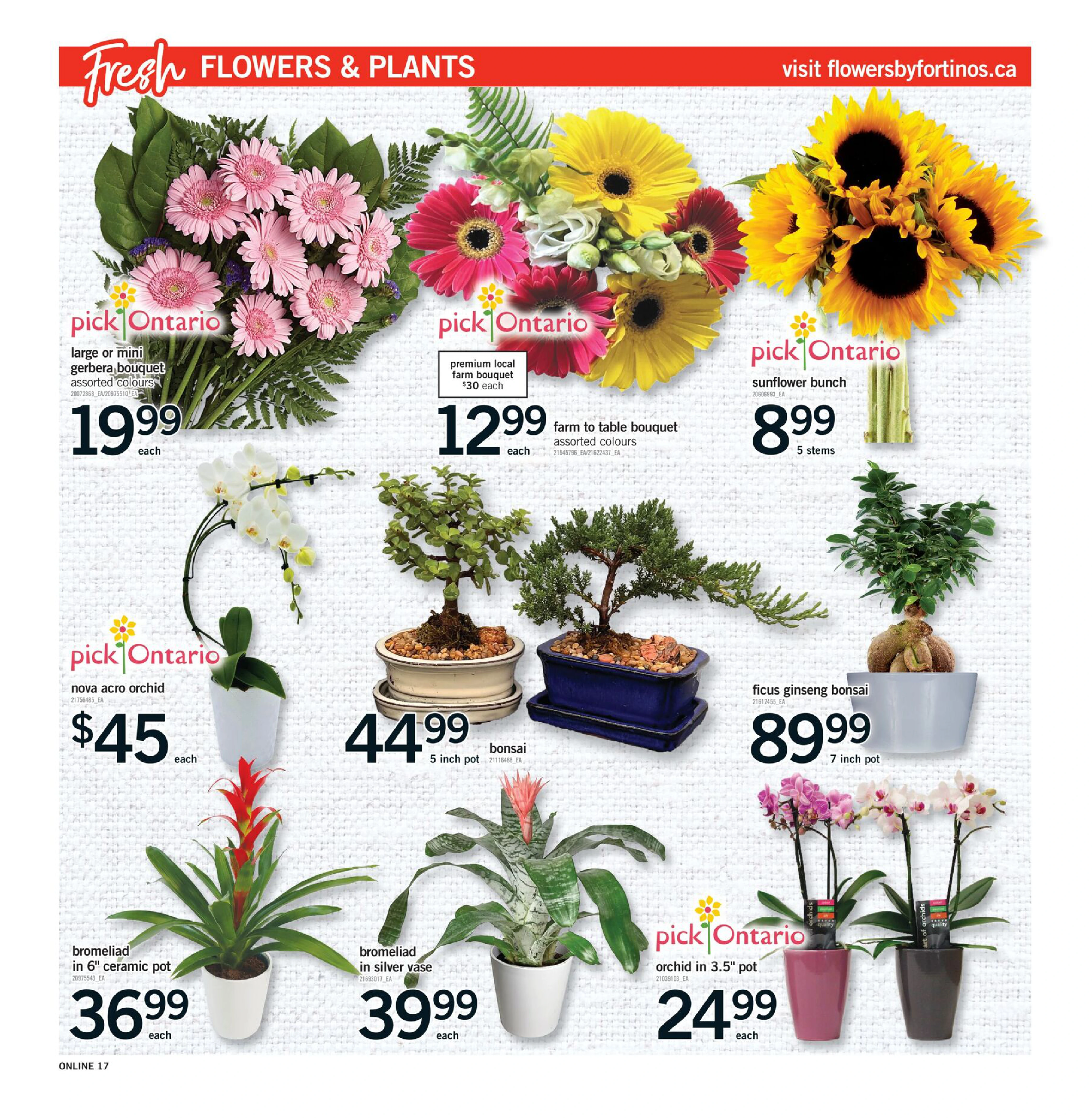 Flyer page 17