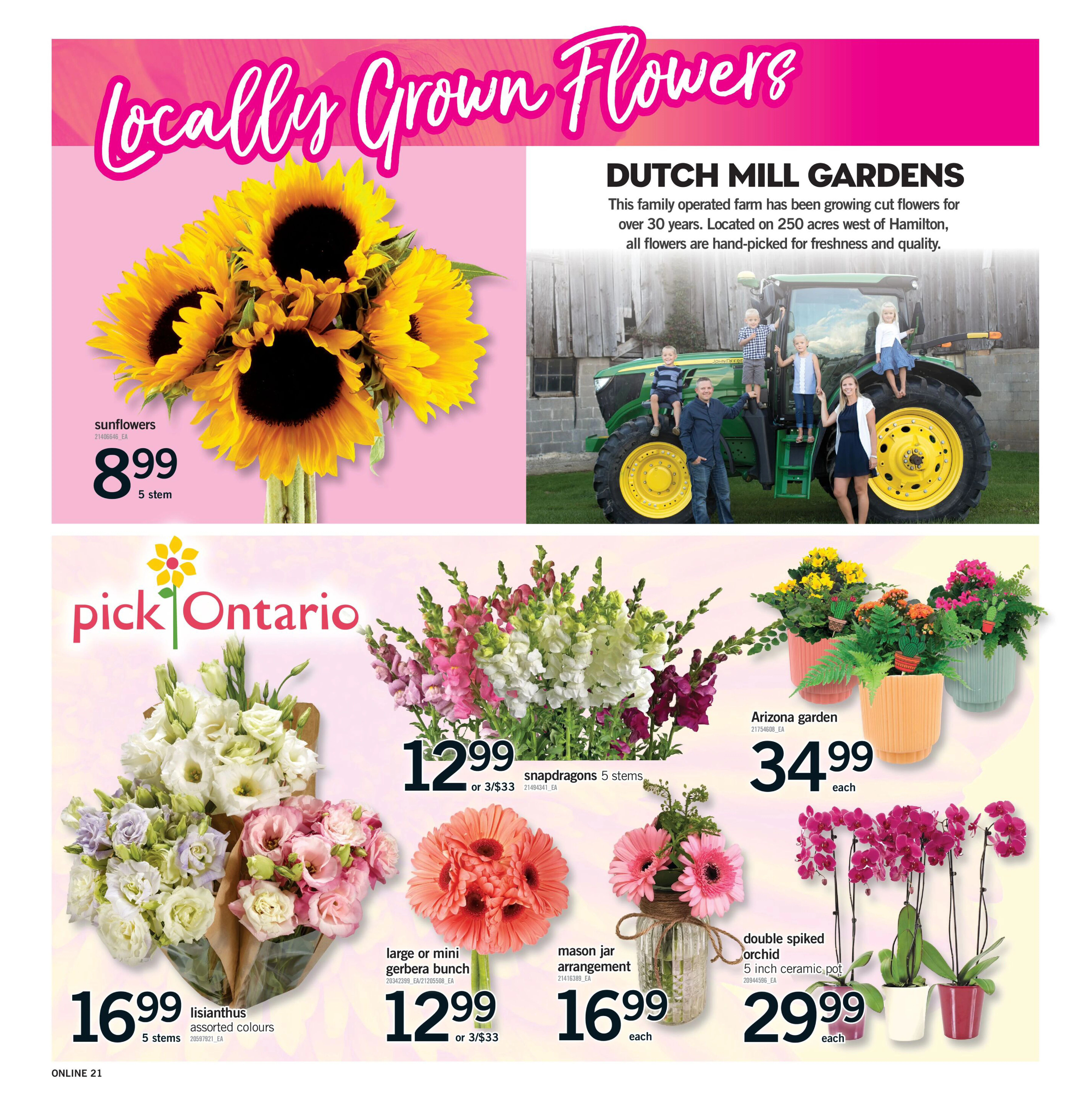Flyer page 21