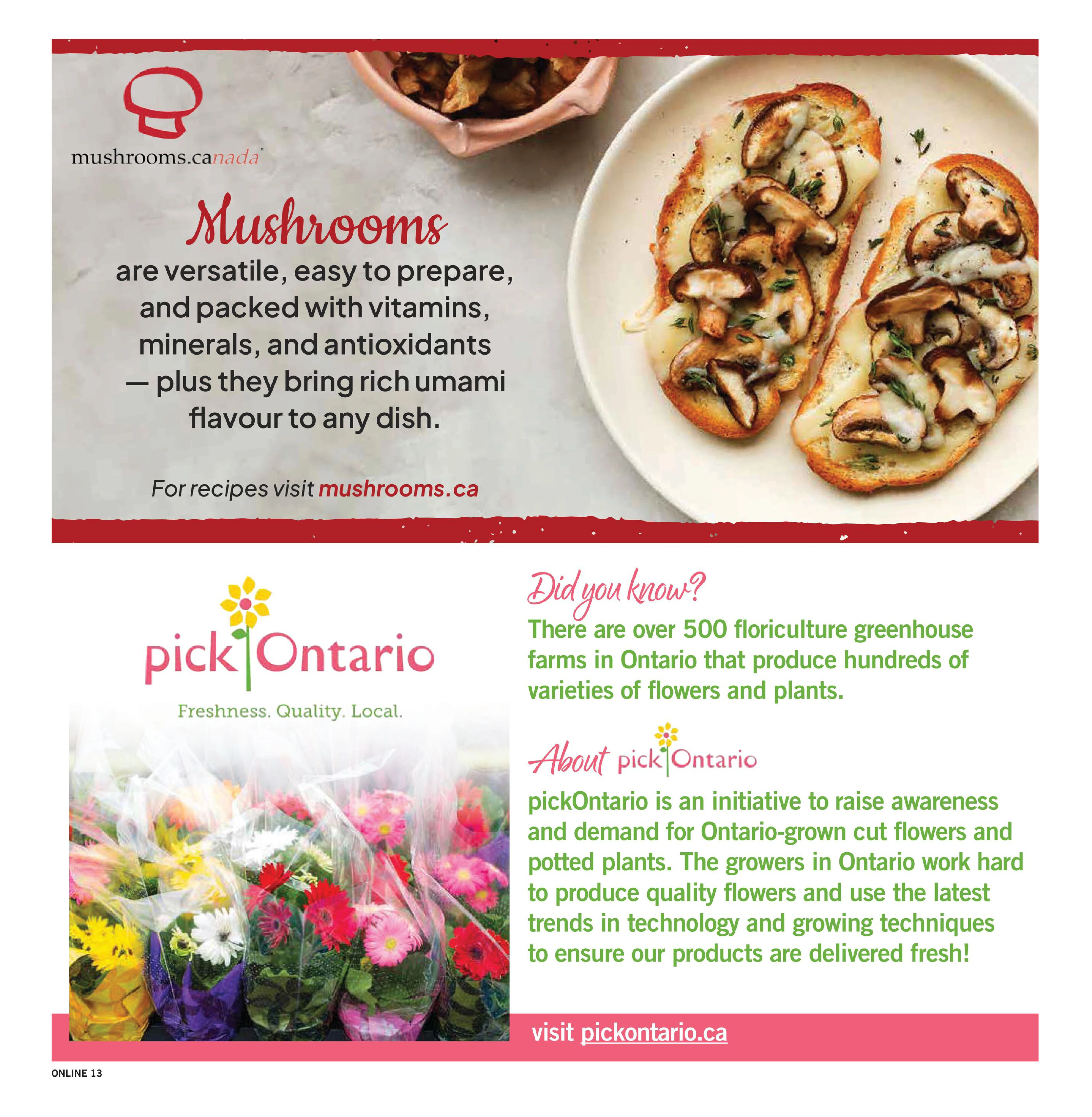 Flyer page 14