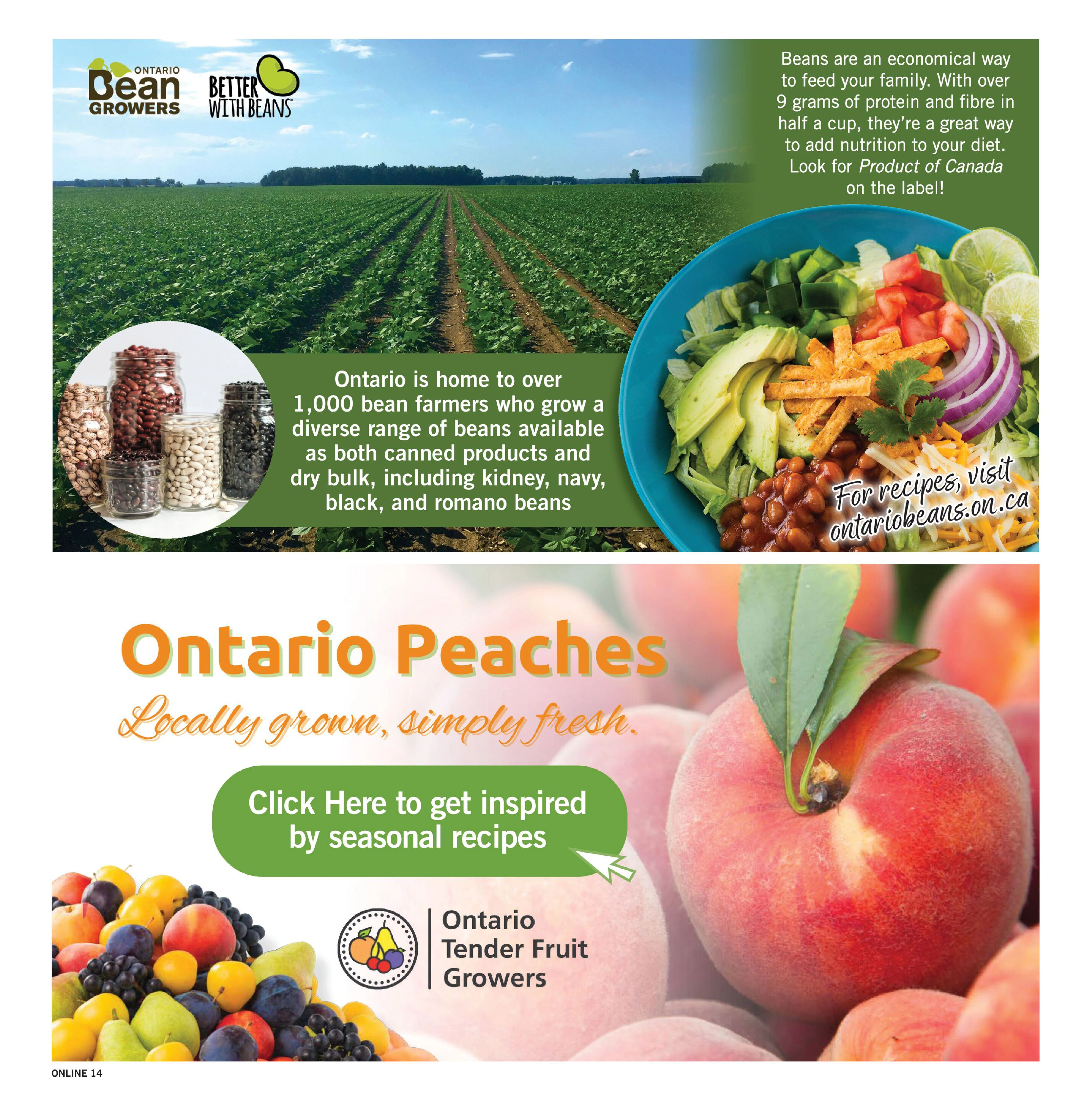 Flyer page 15