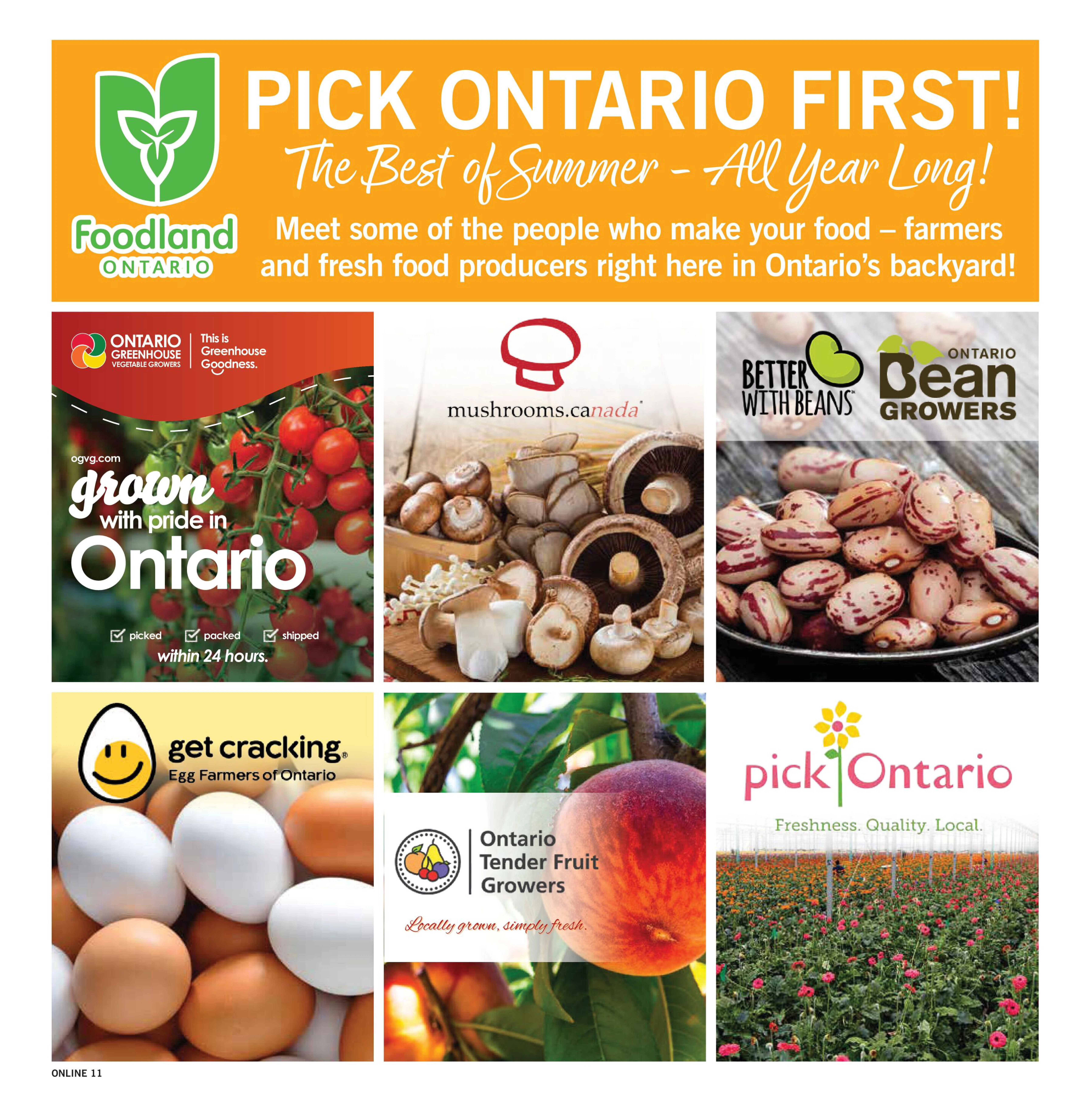 Flyer page 11