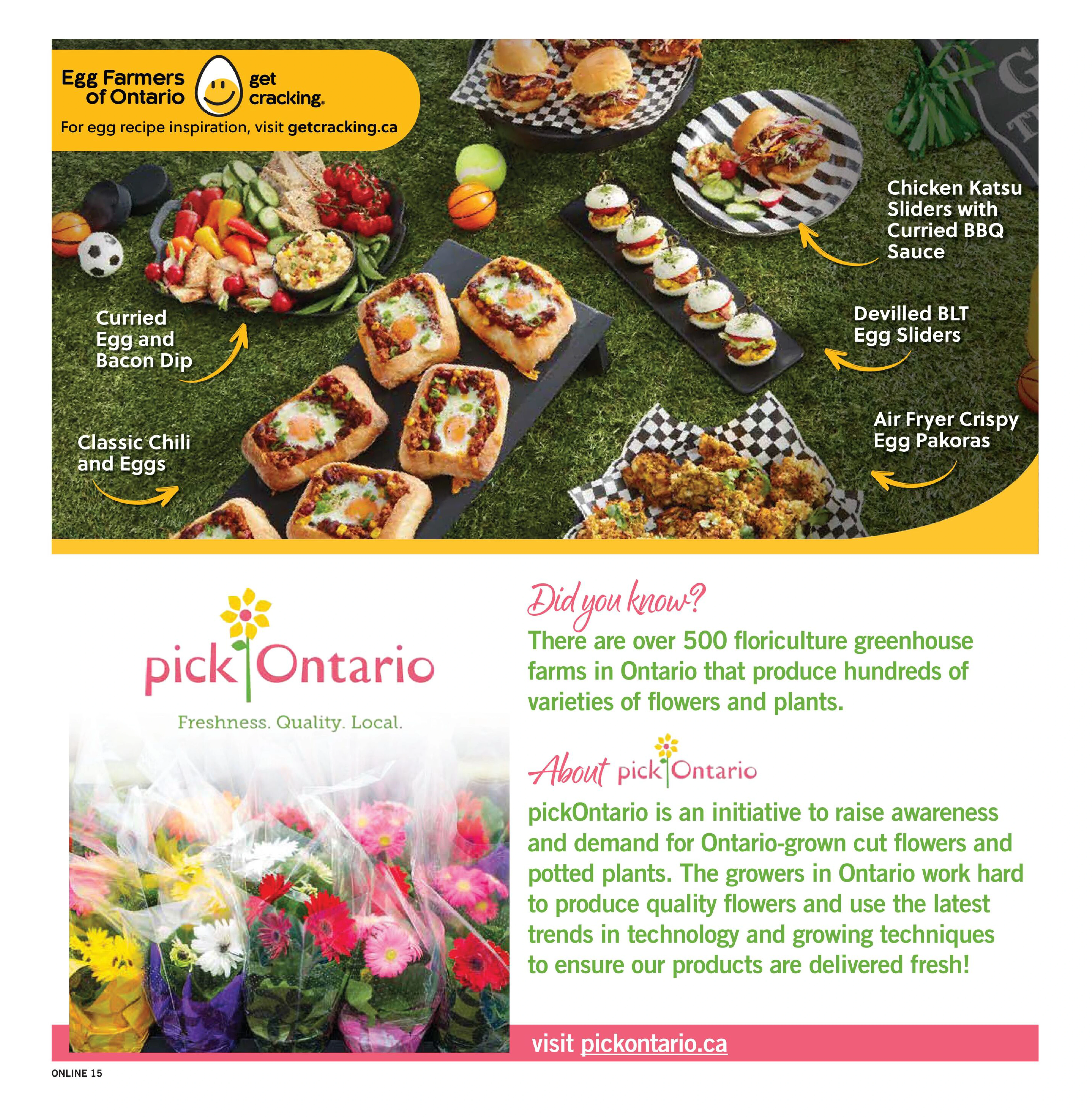 Flyer page 15