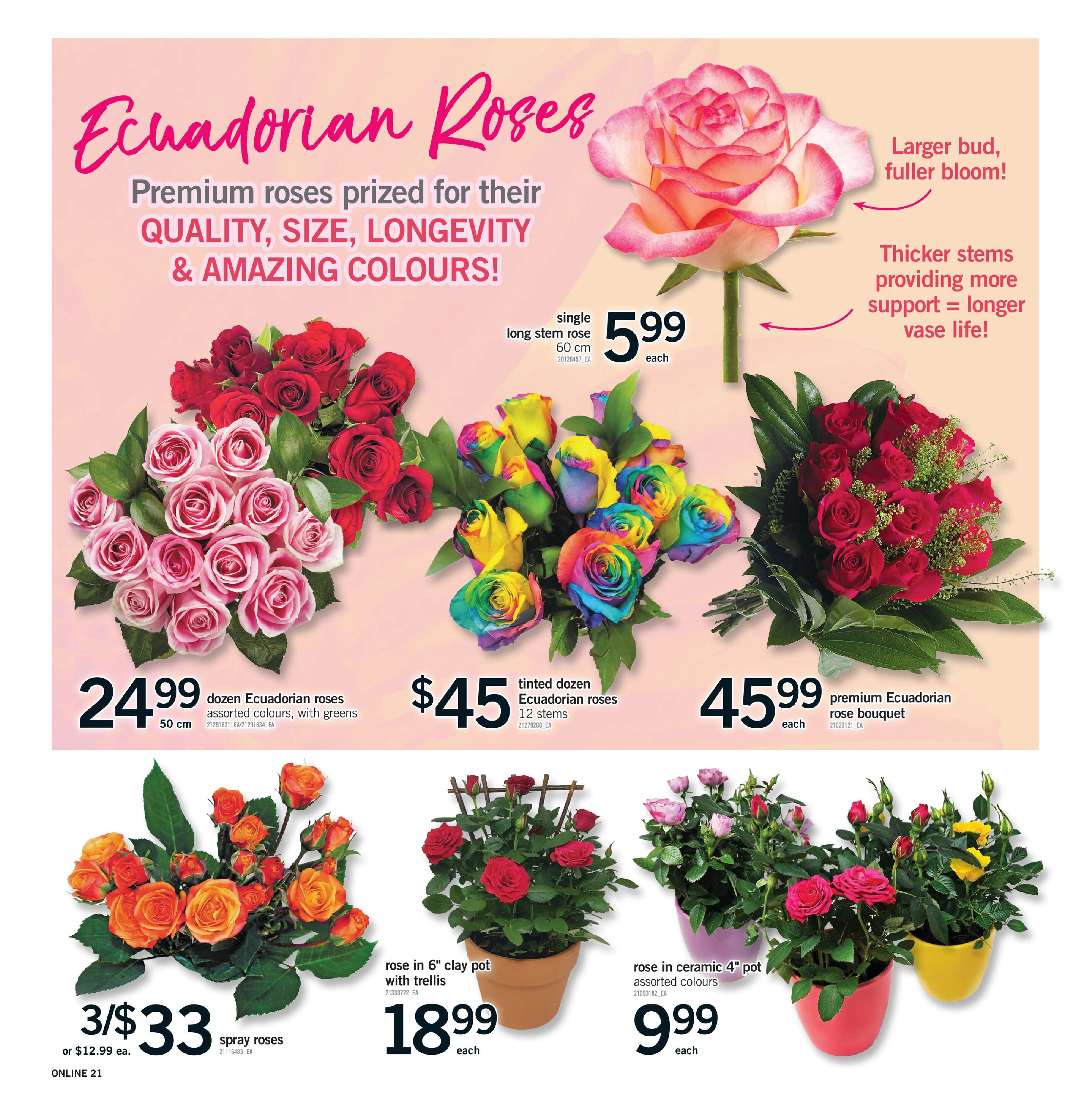 Flyer page 21