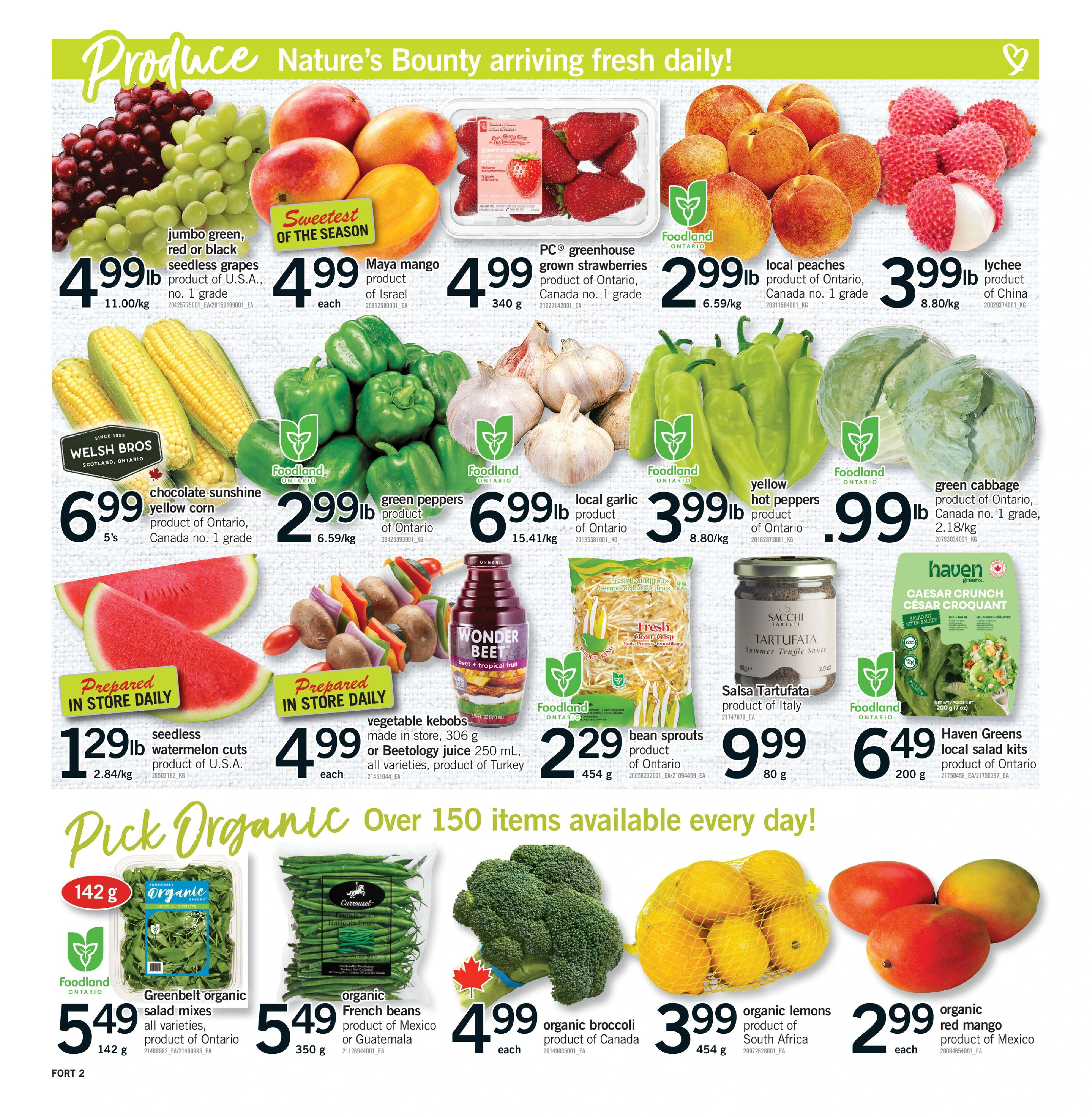 Flyer page 3