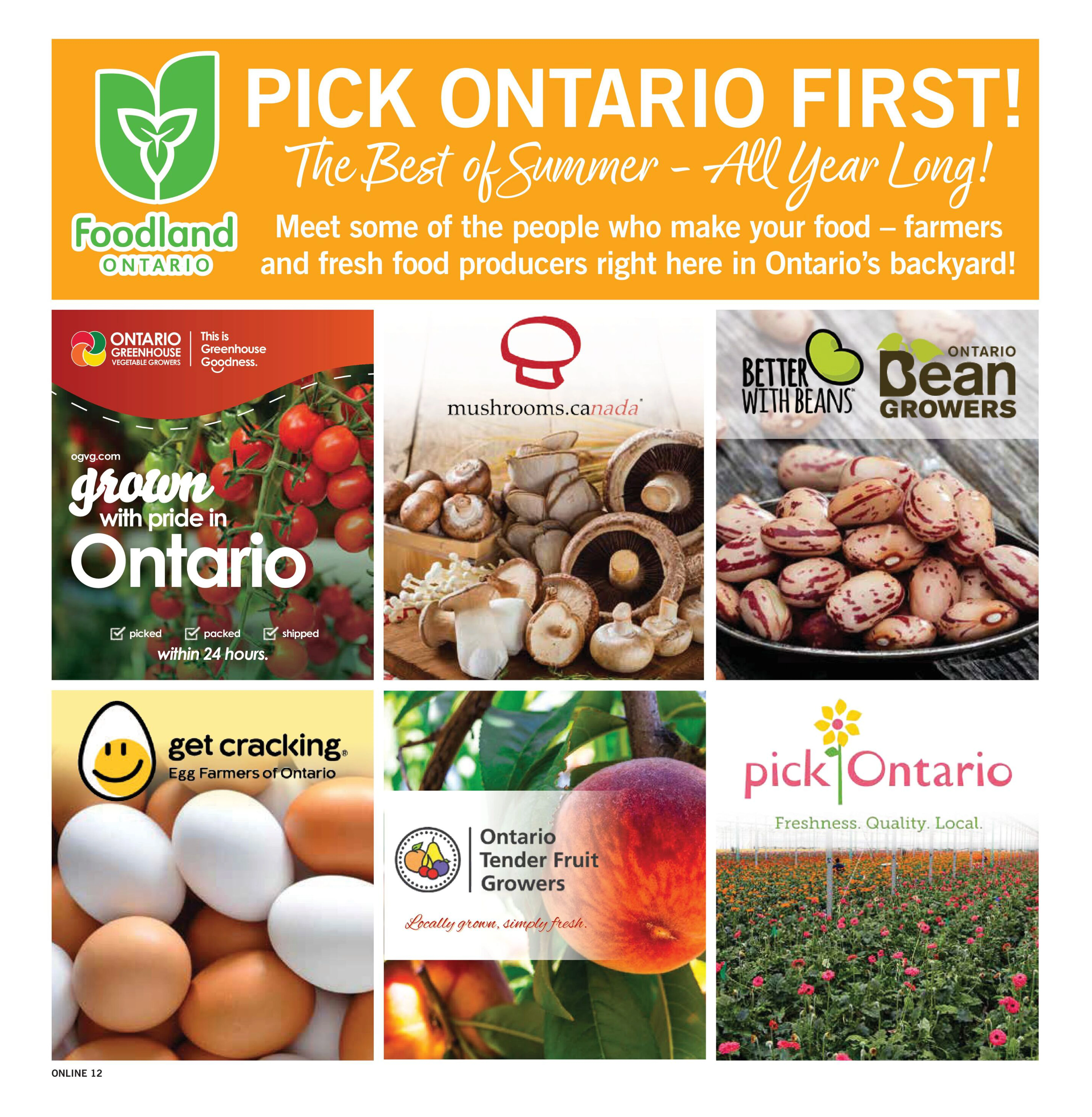 Flyer page 12