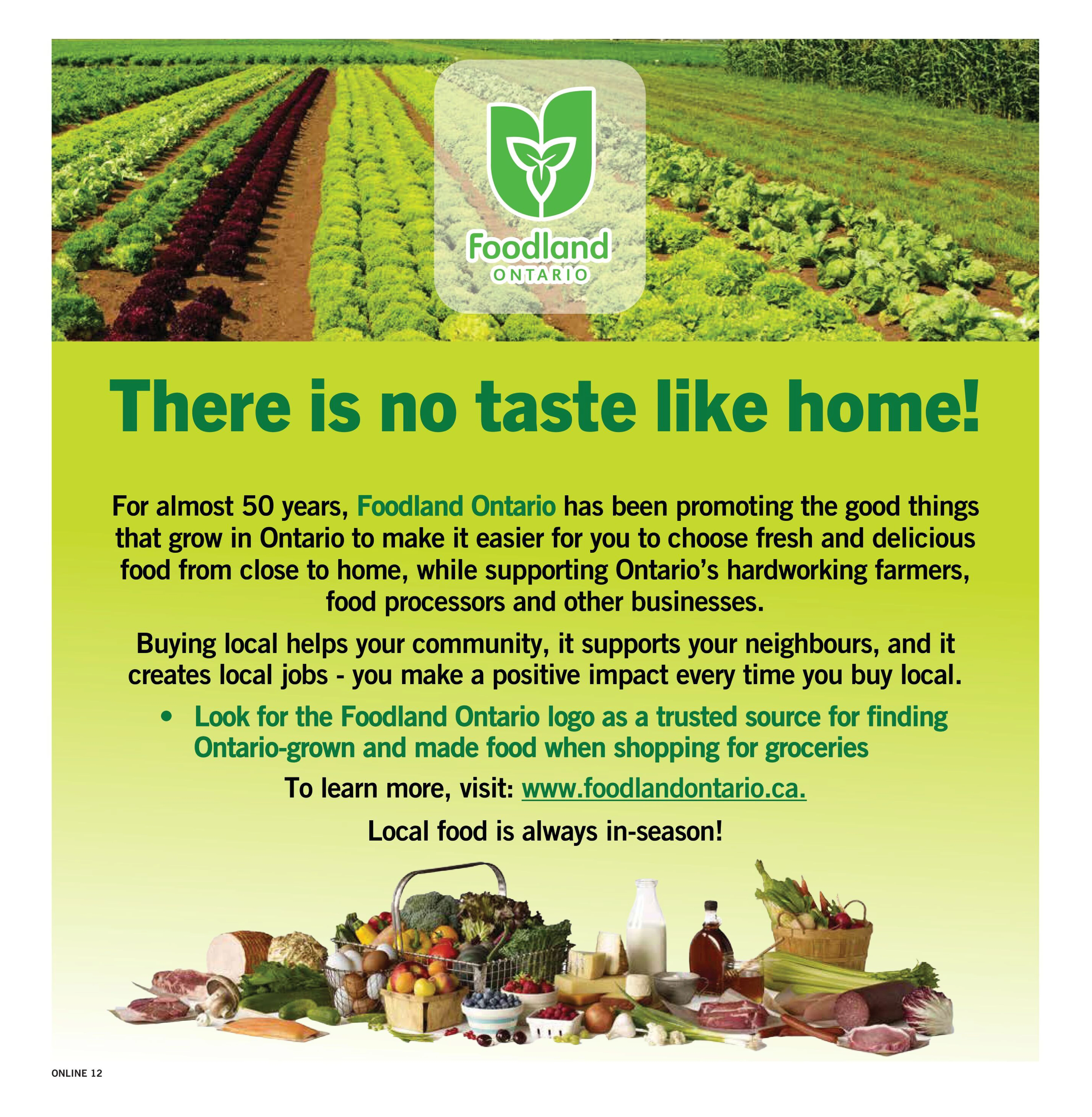 Flyer page 12