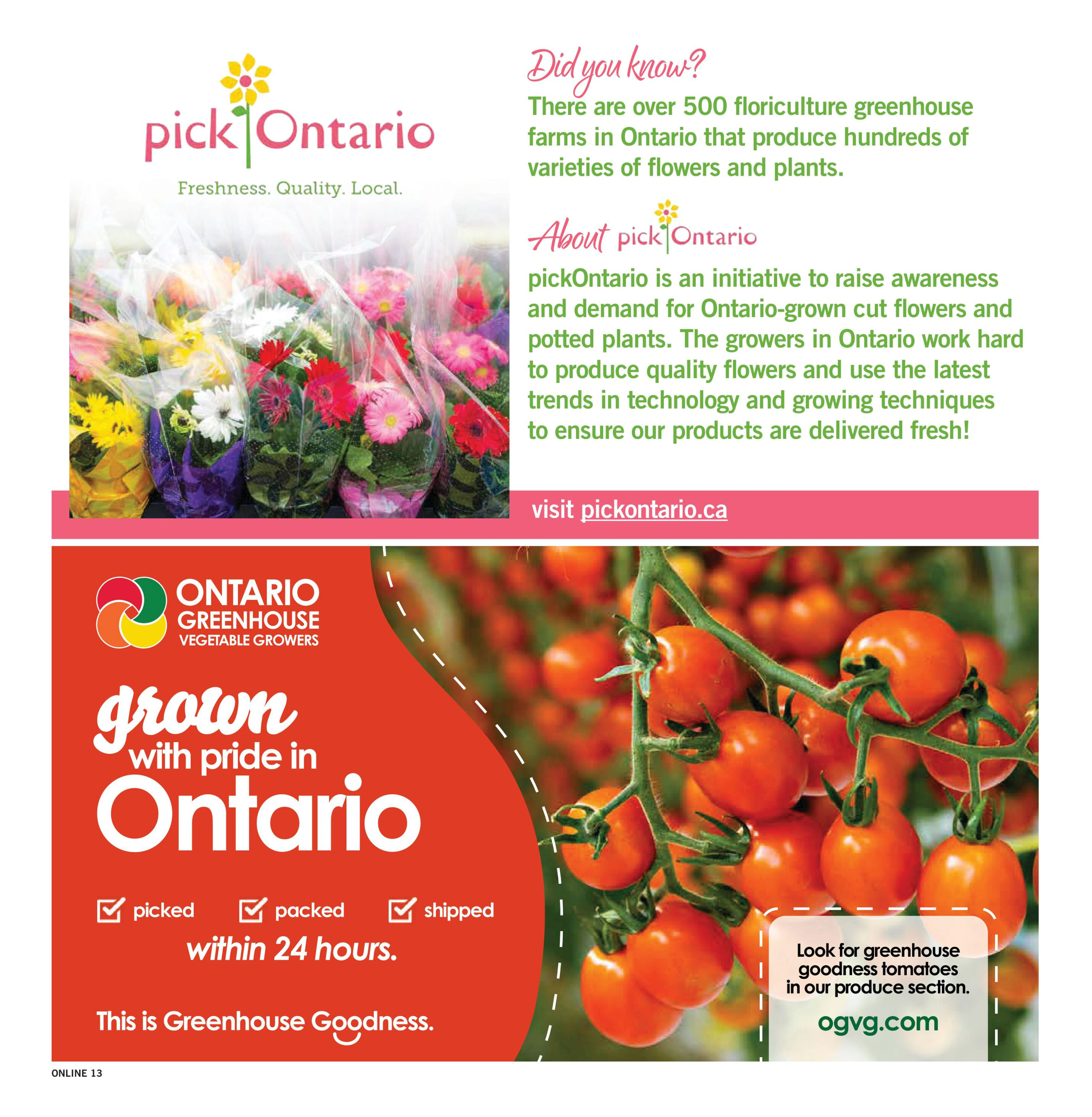 Flyer page 13