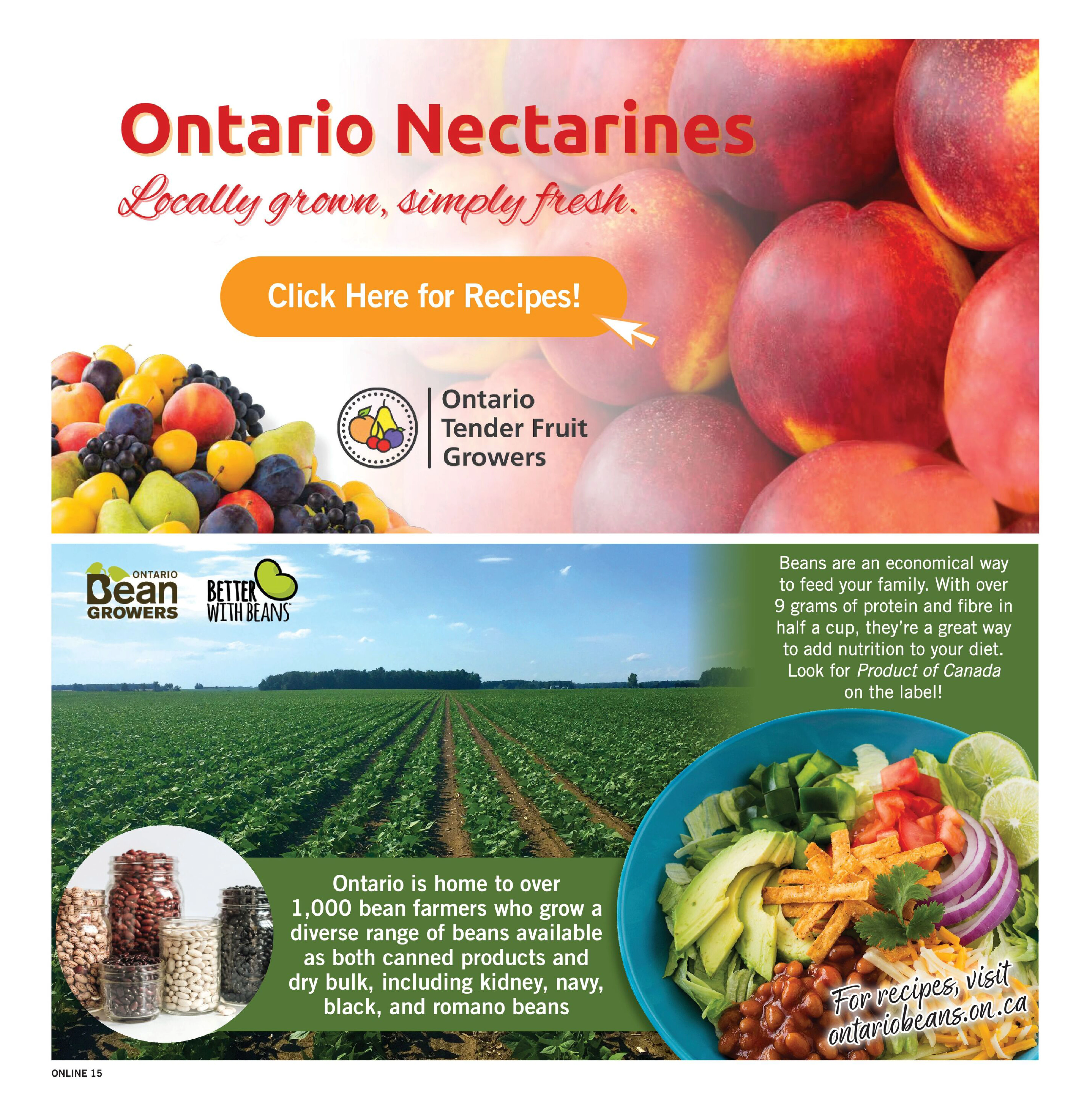 Flyer page 15