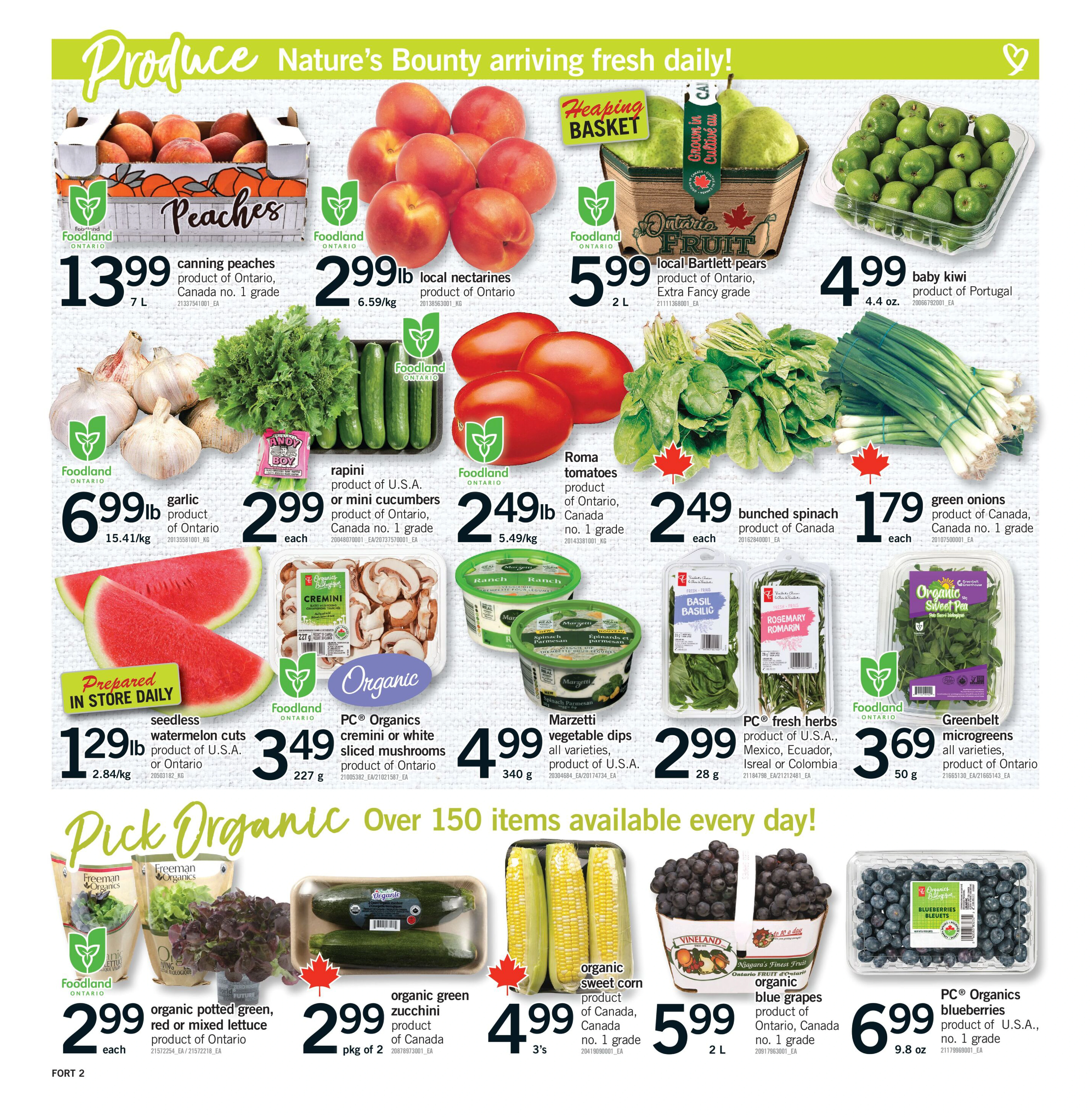 Flyer page 3
