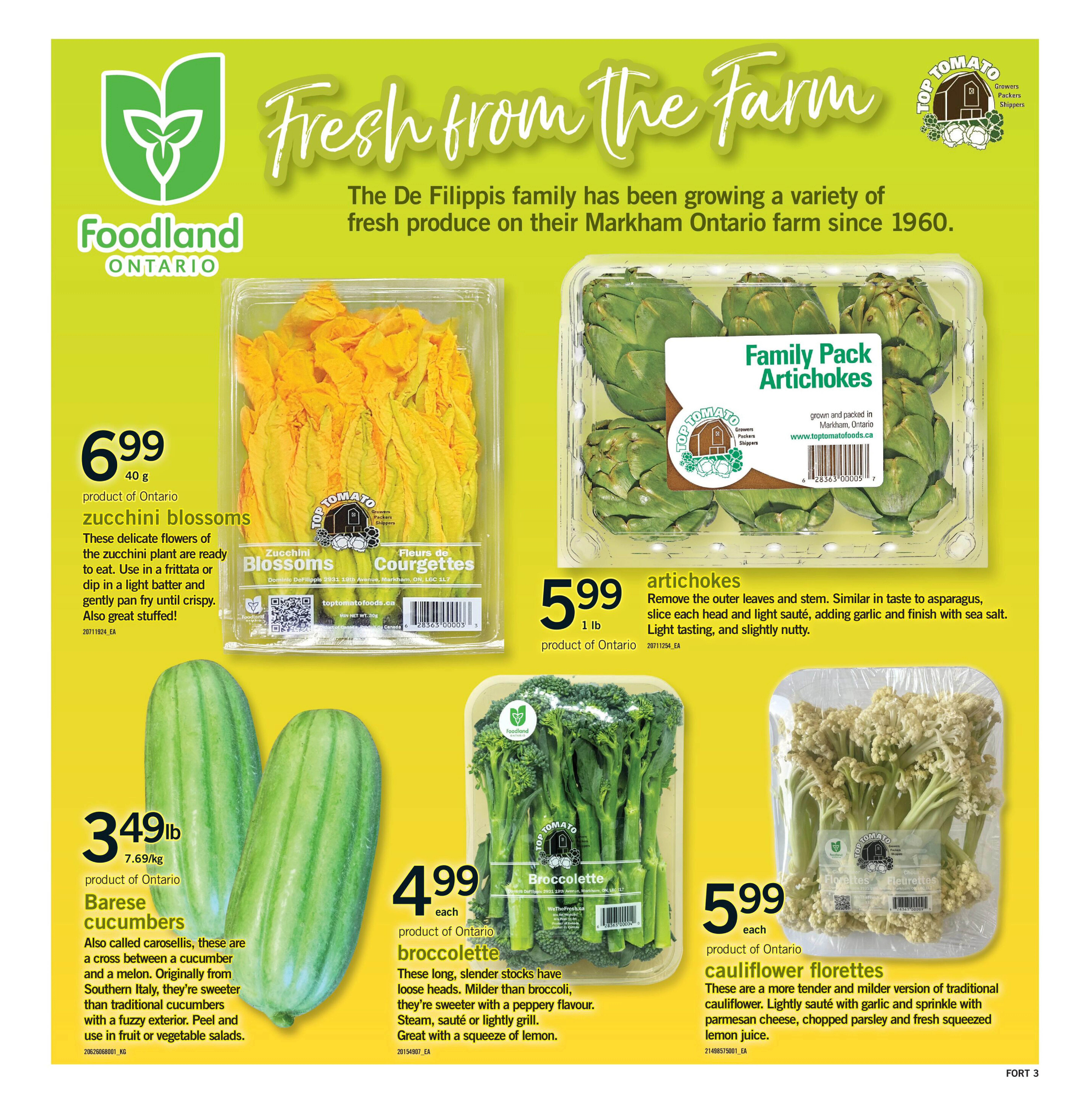 Flyer page 4
