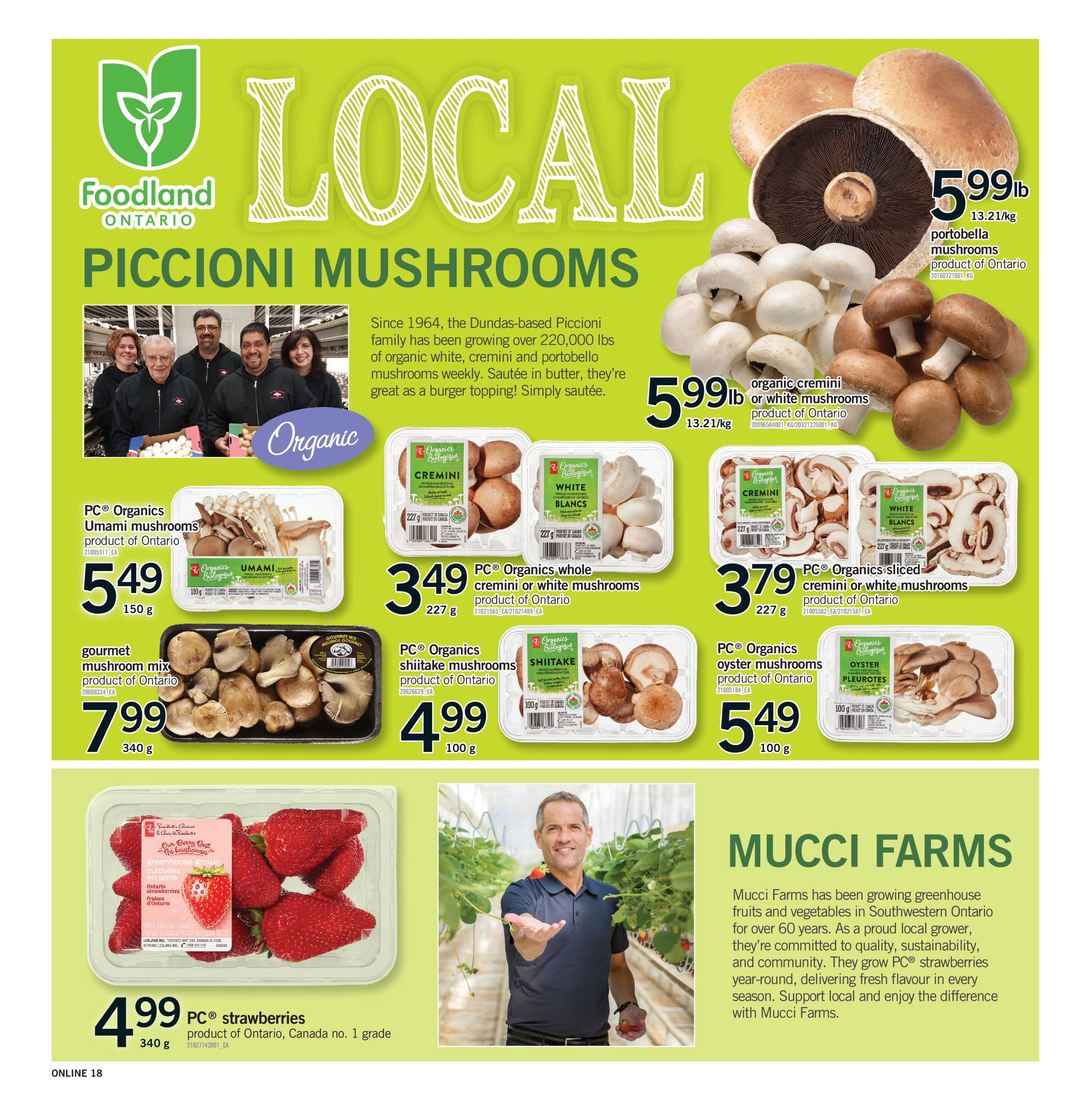 Flyer page 18