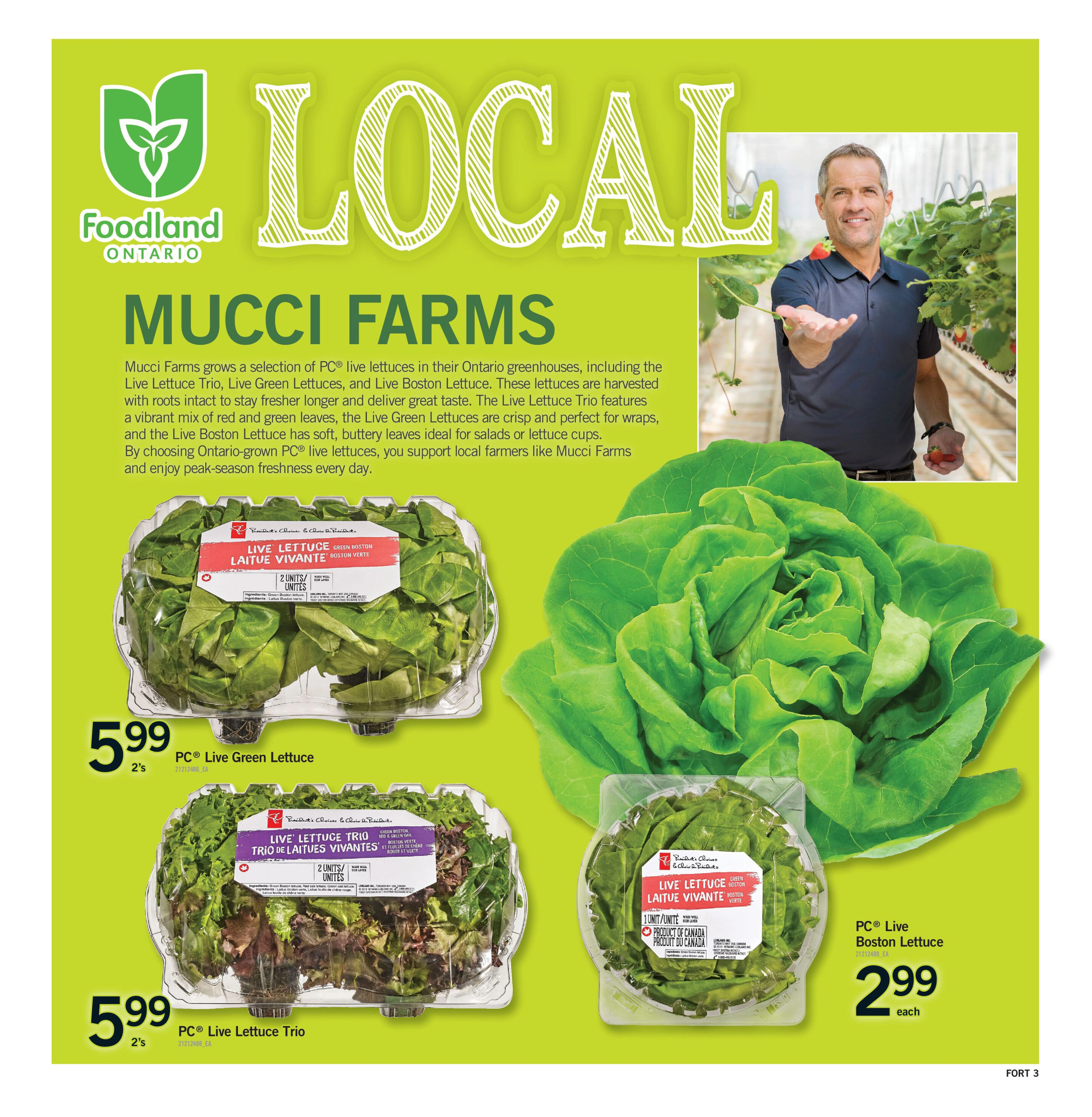 Flyer page 4