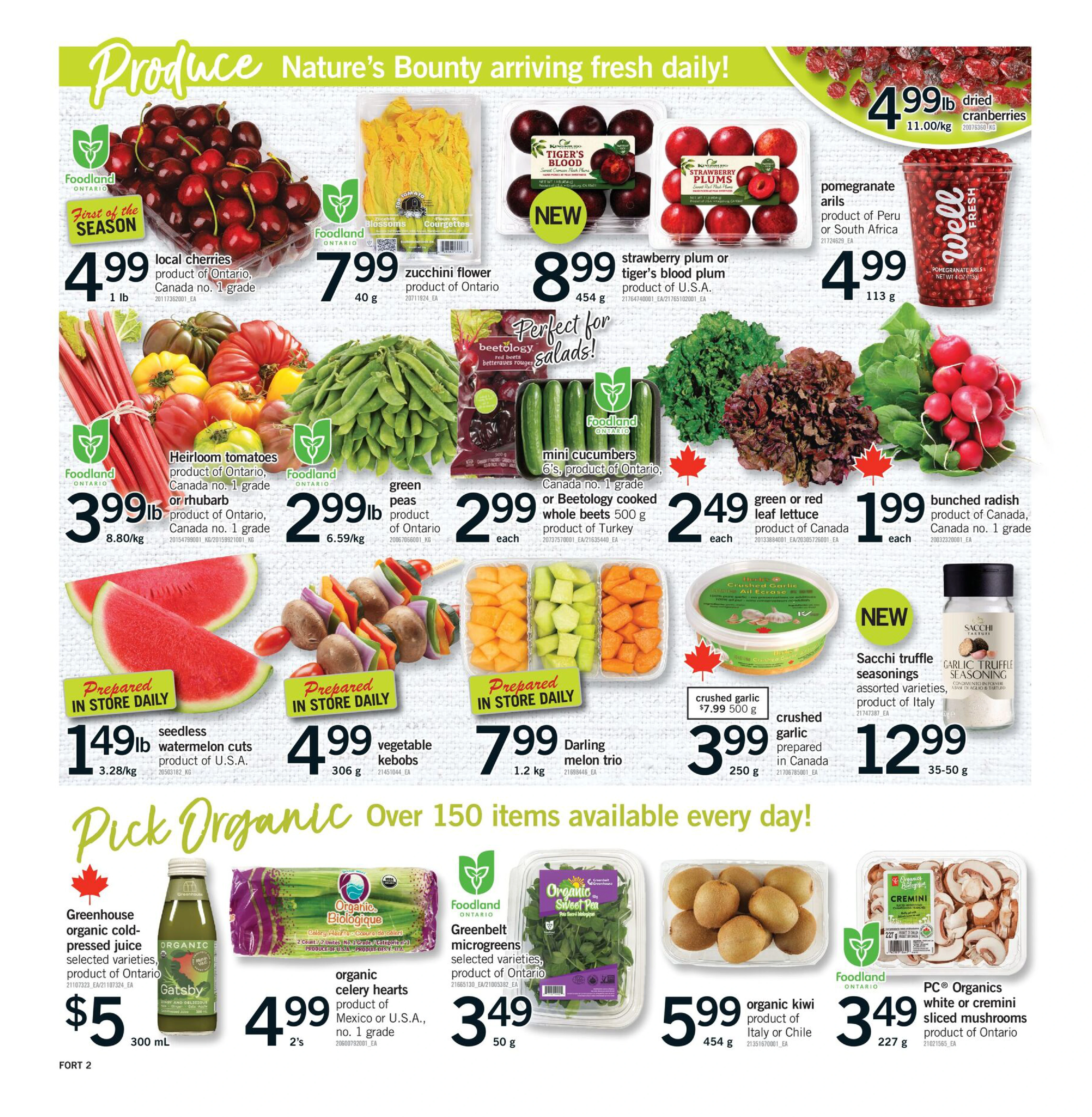Flyer page 3