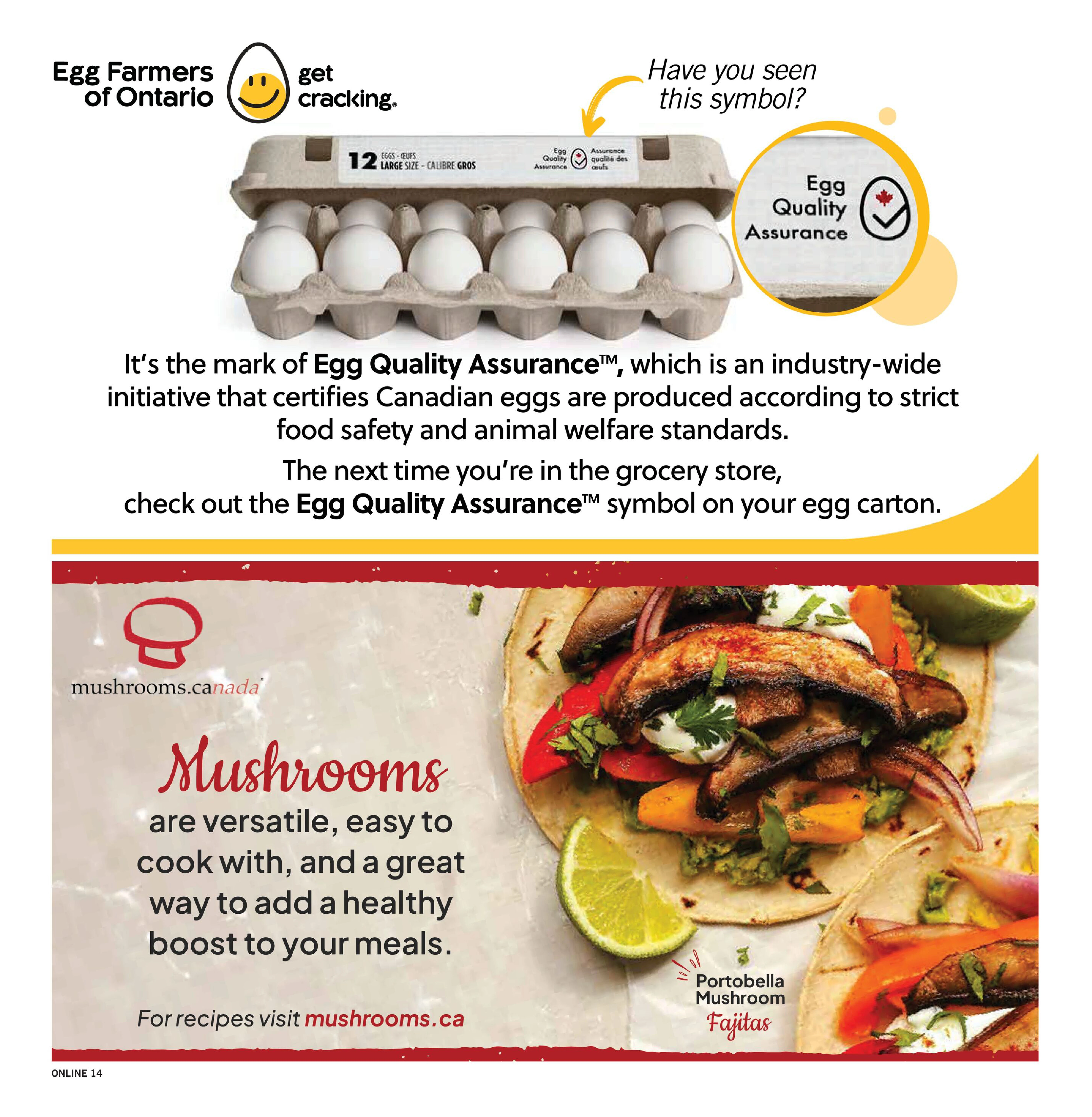 Flyer page 14