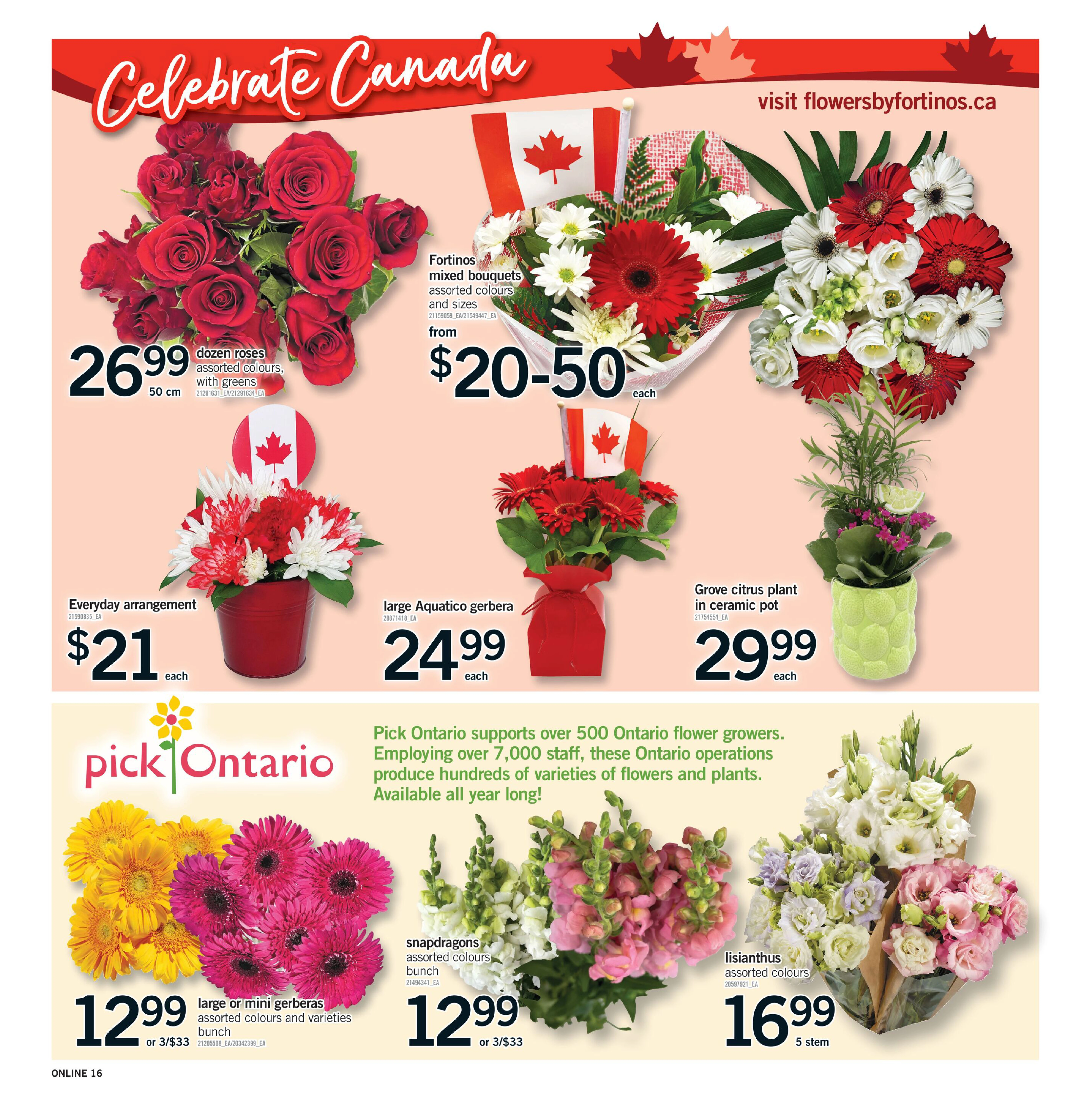 Flyer page 16