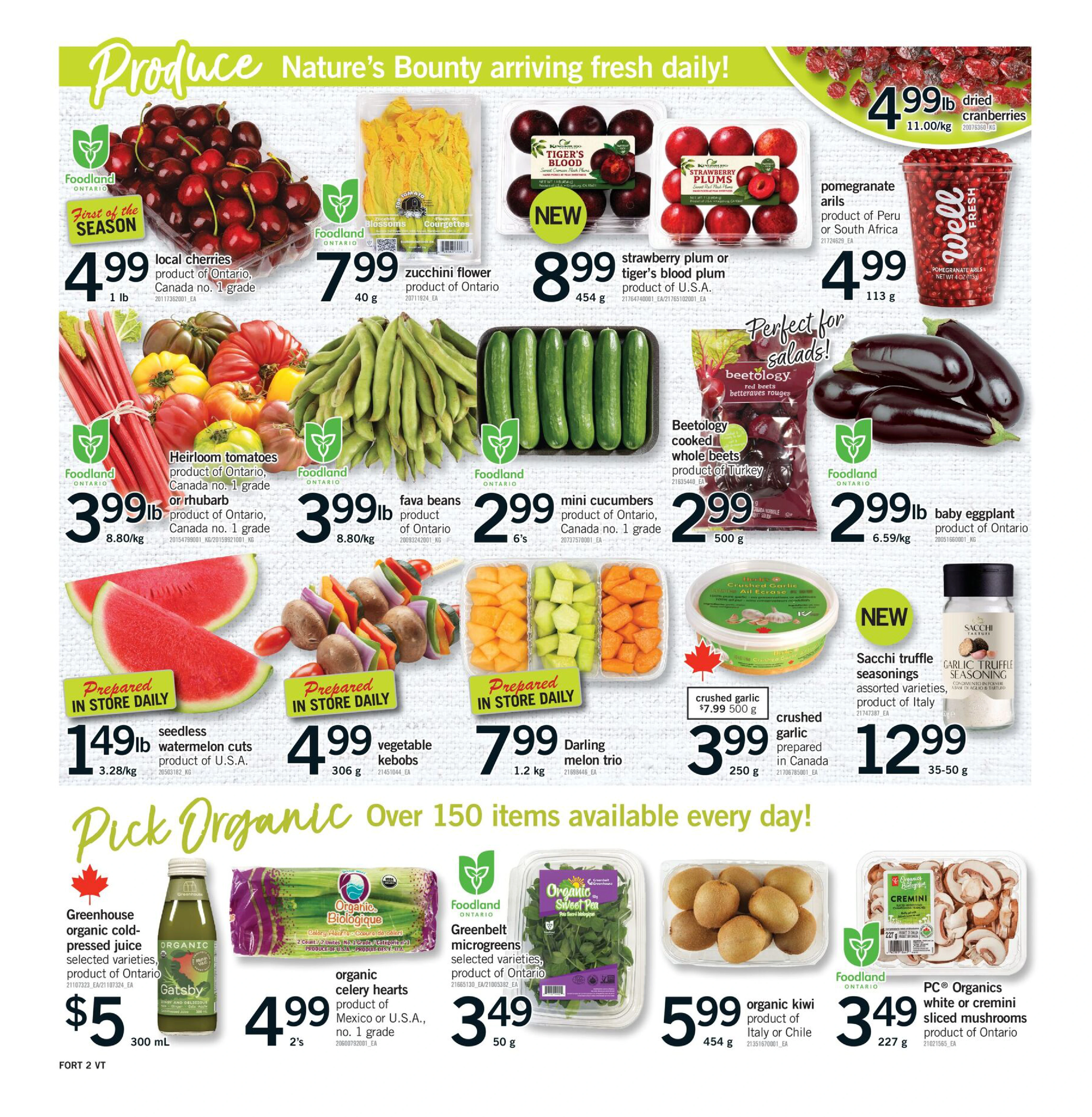 Flyer page 3