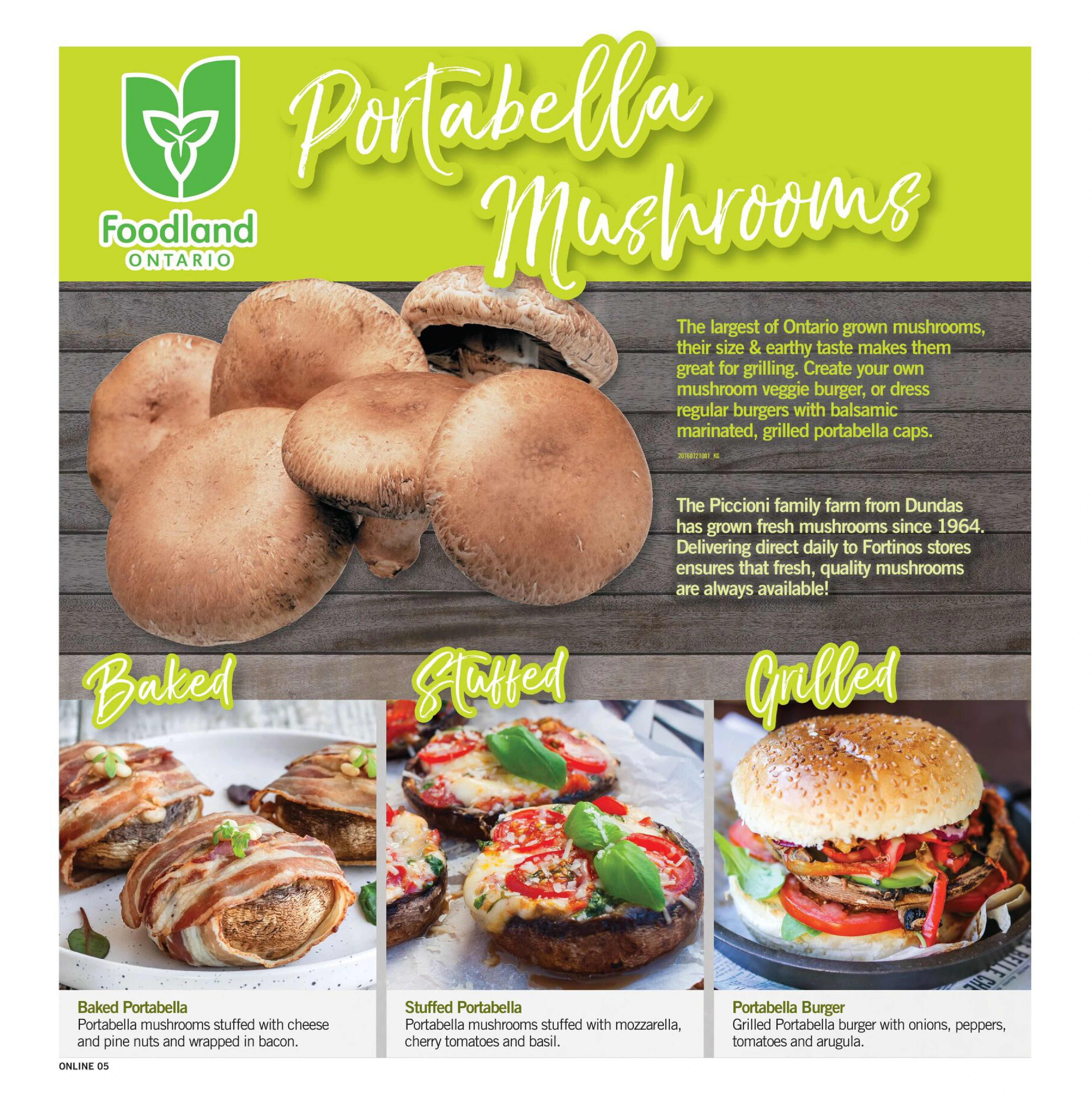 Flyer page 5