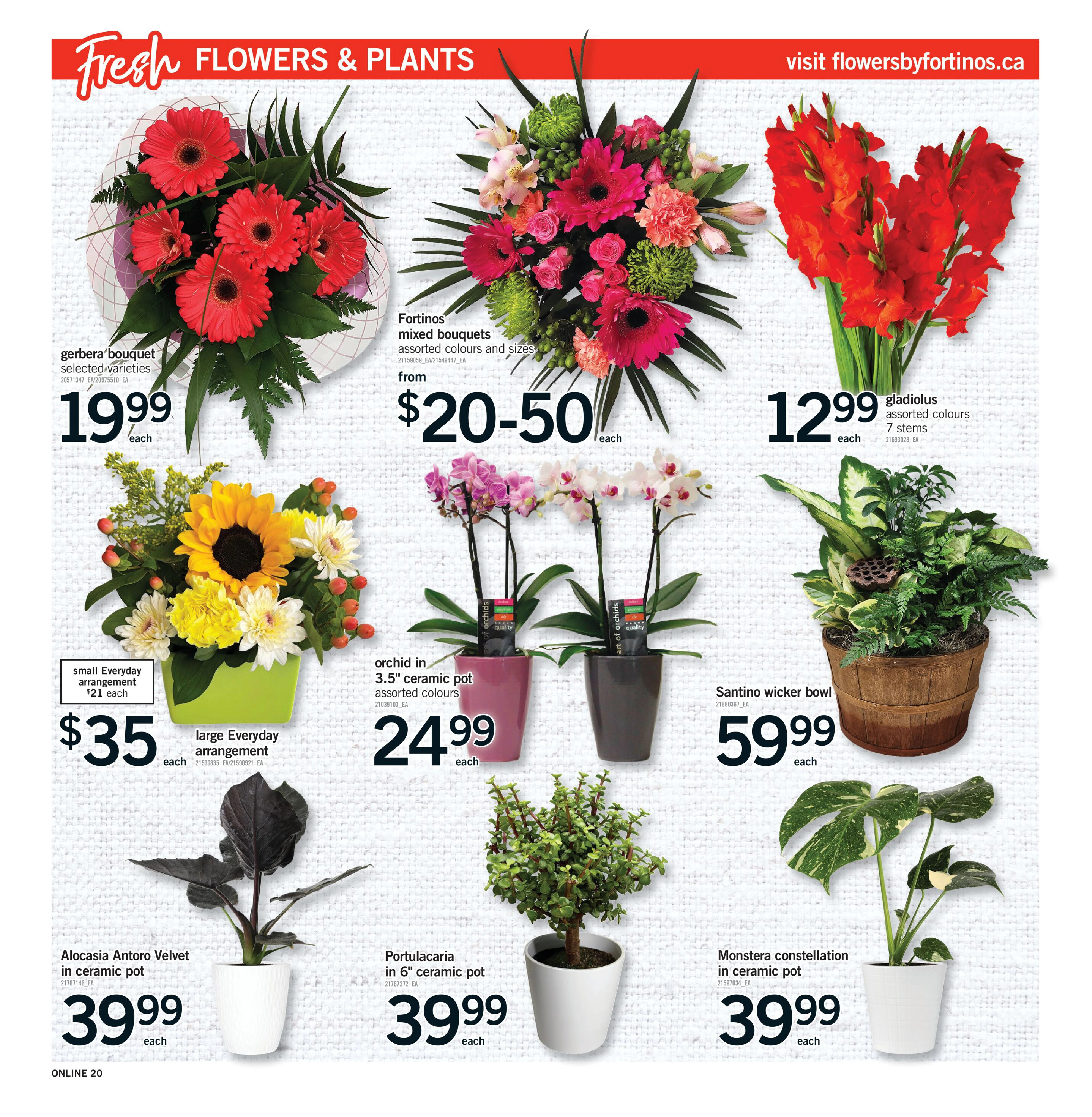 Flyer page 19