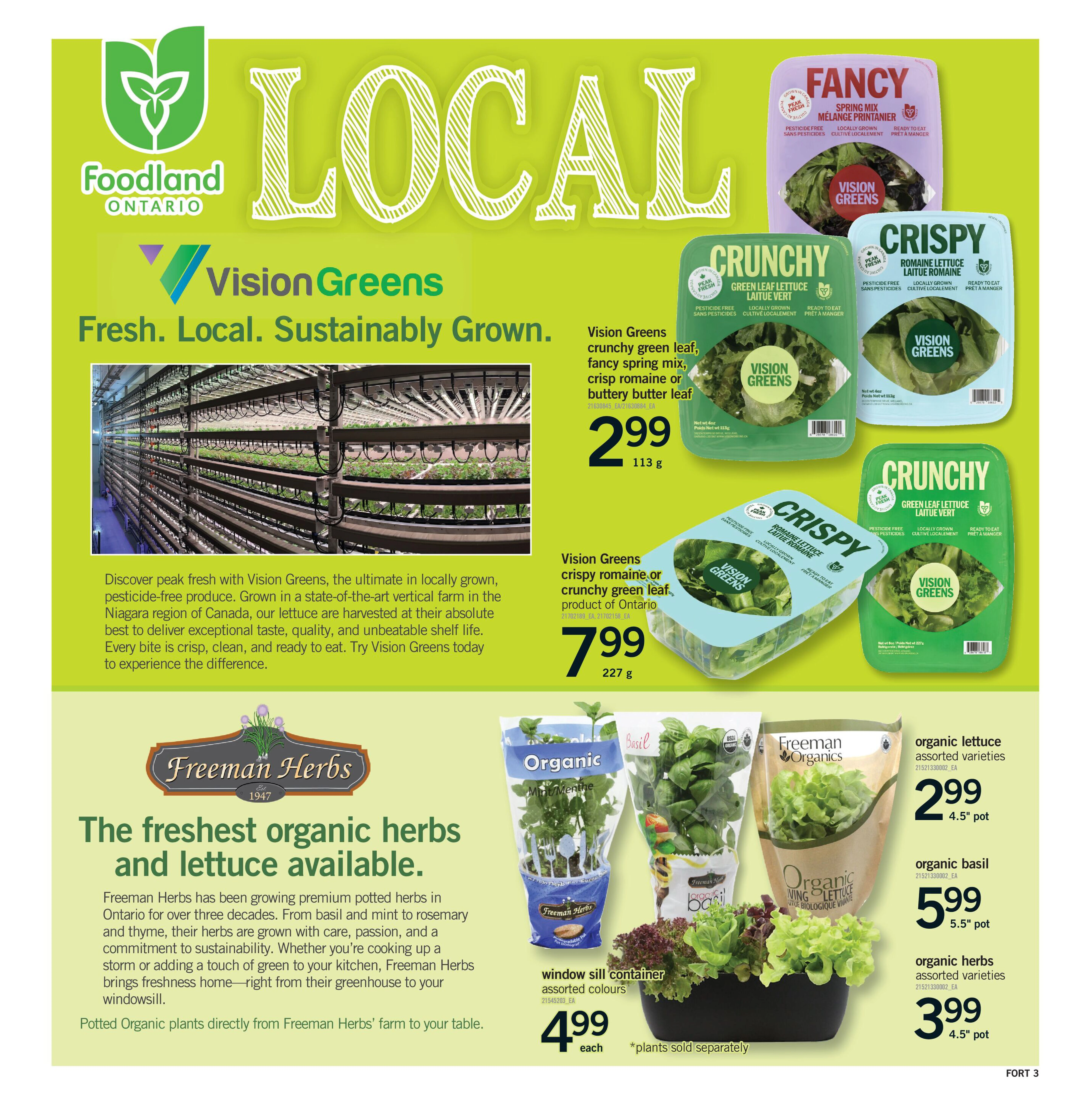 Flyer page 4