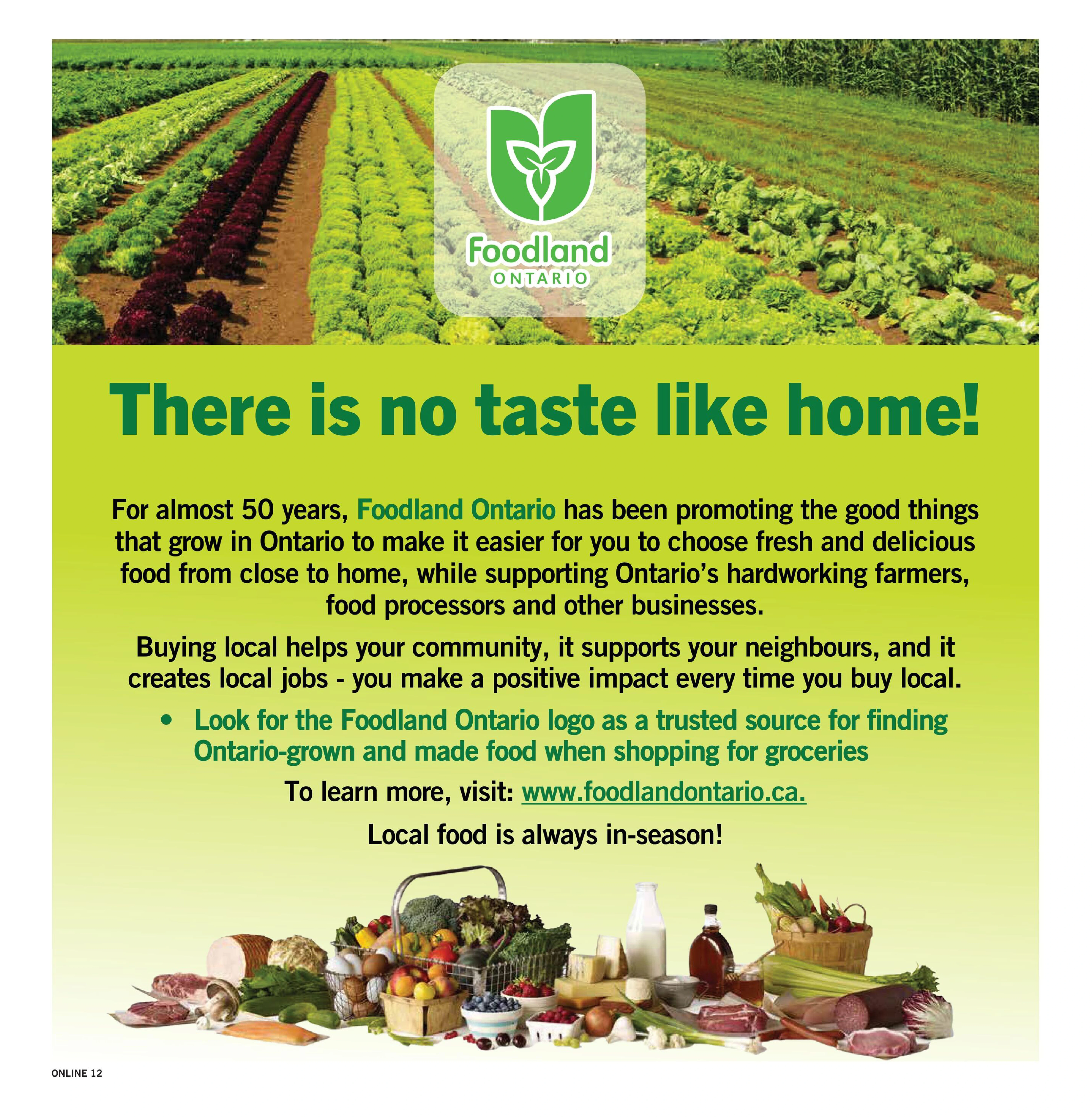 Flyer page 12