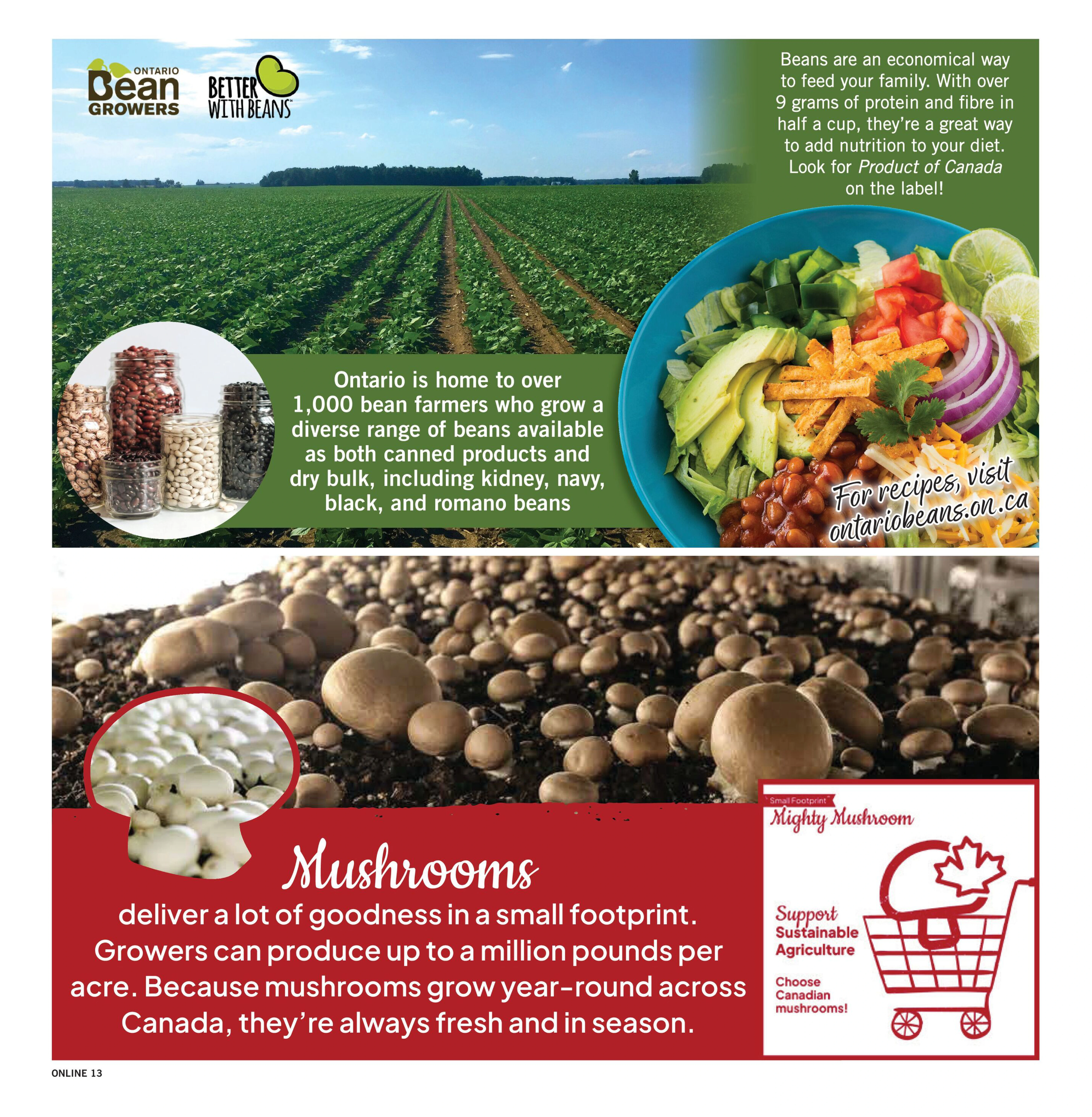 Flyer page 13