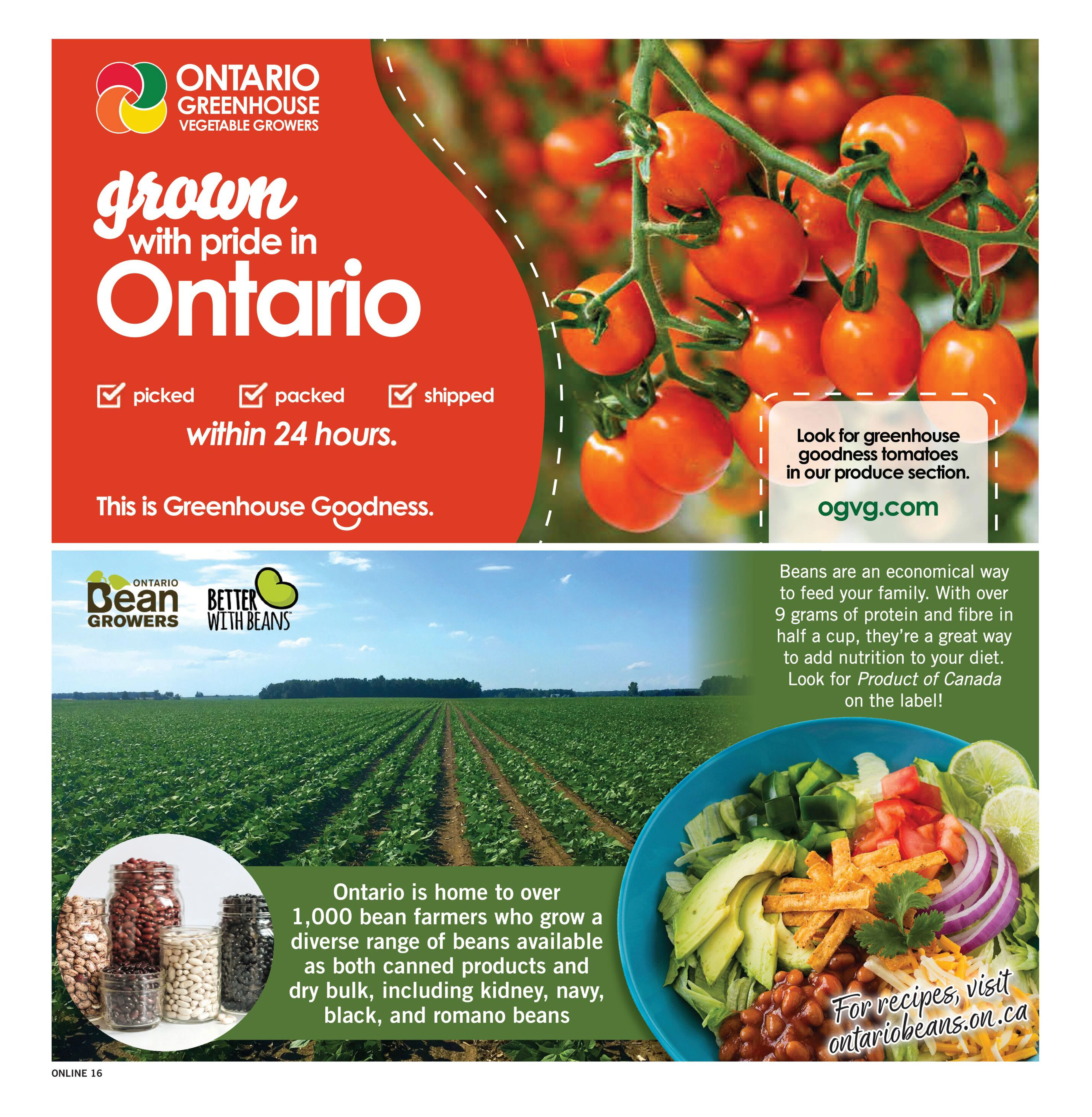 Flyer page 15
