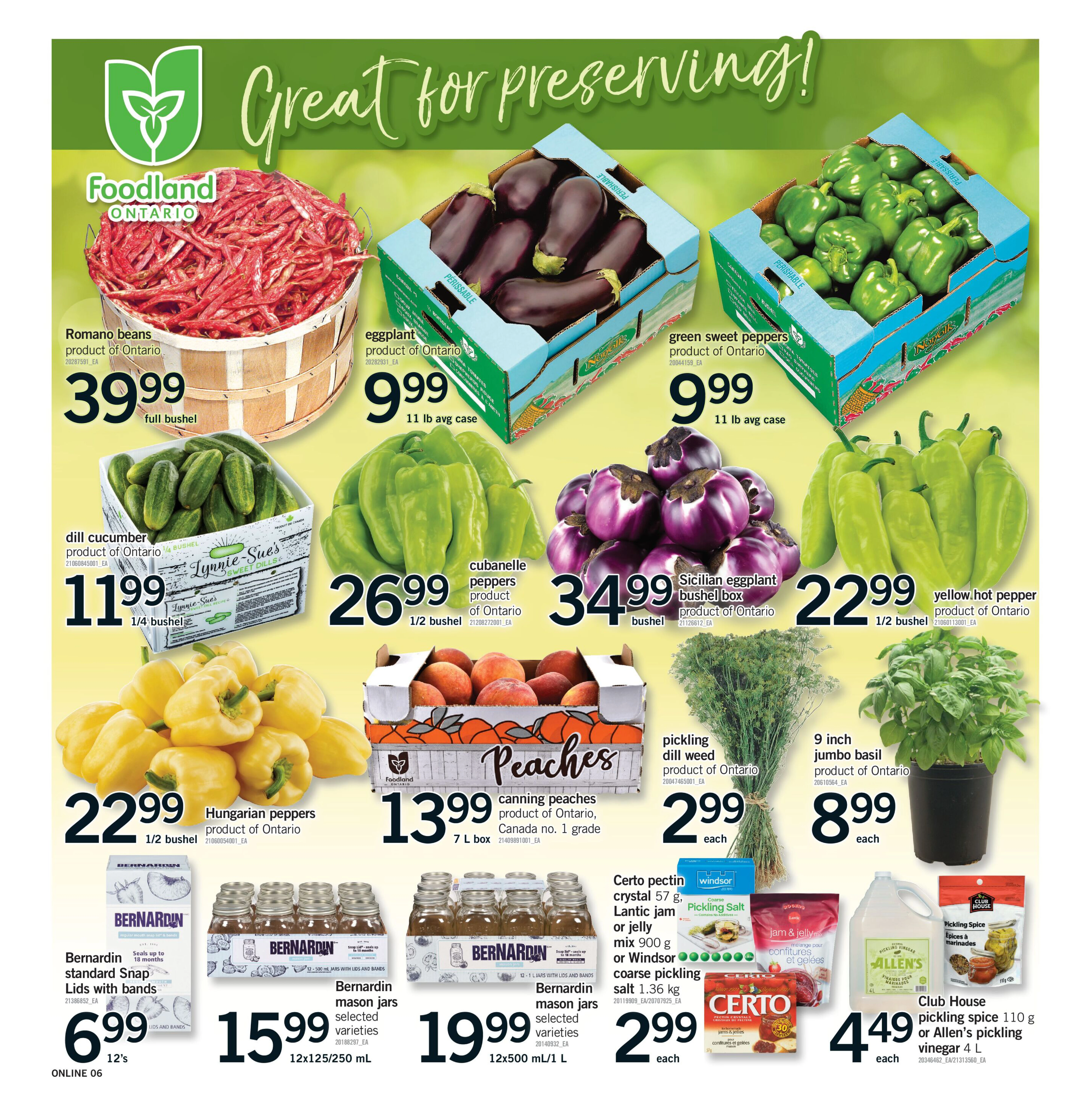 Flyer page 6