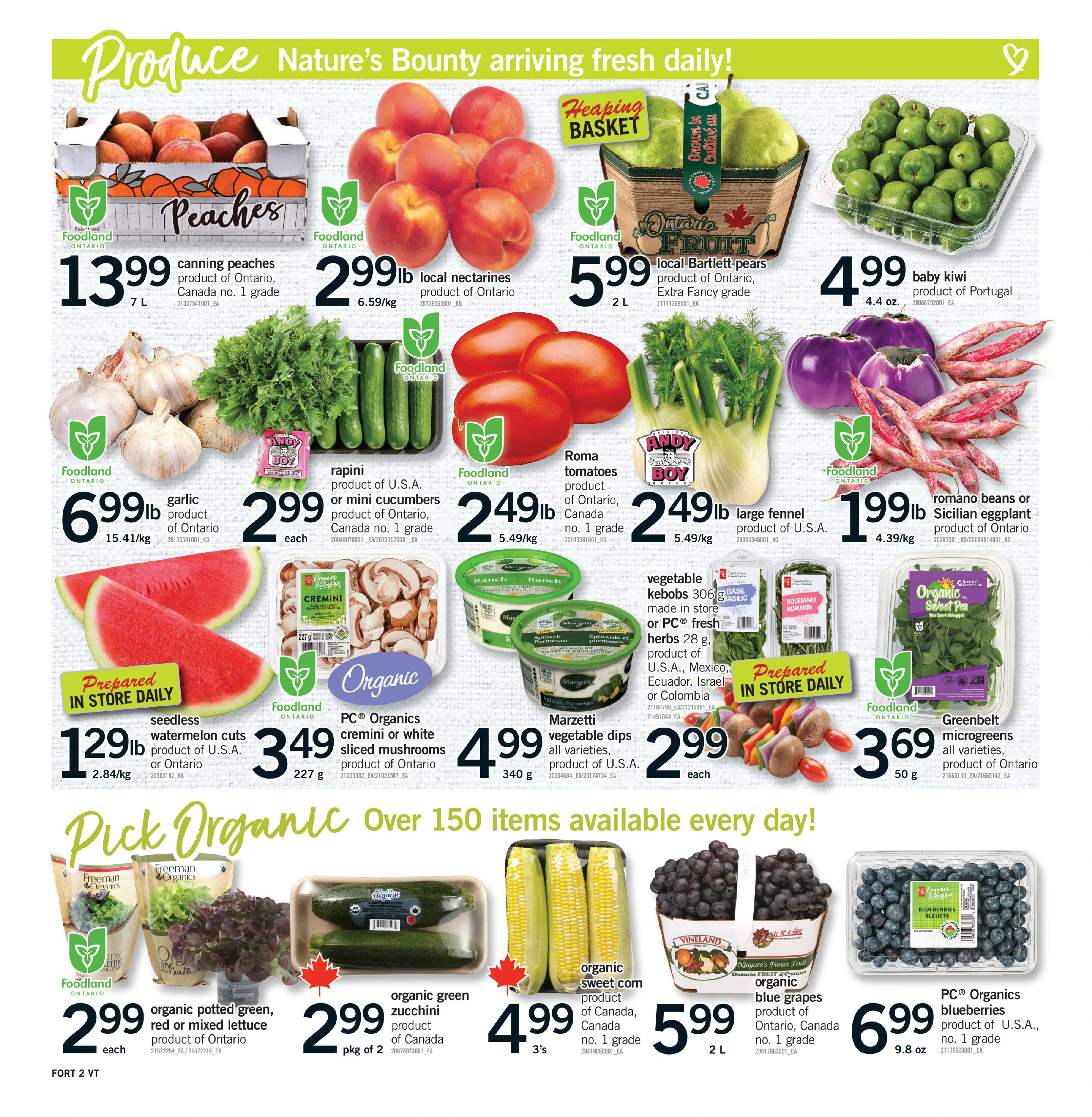 Flyer page 3