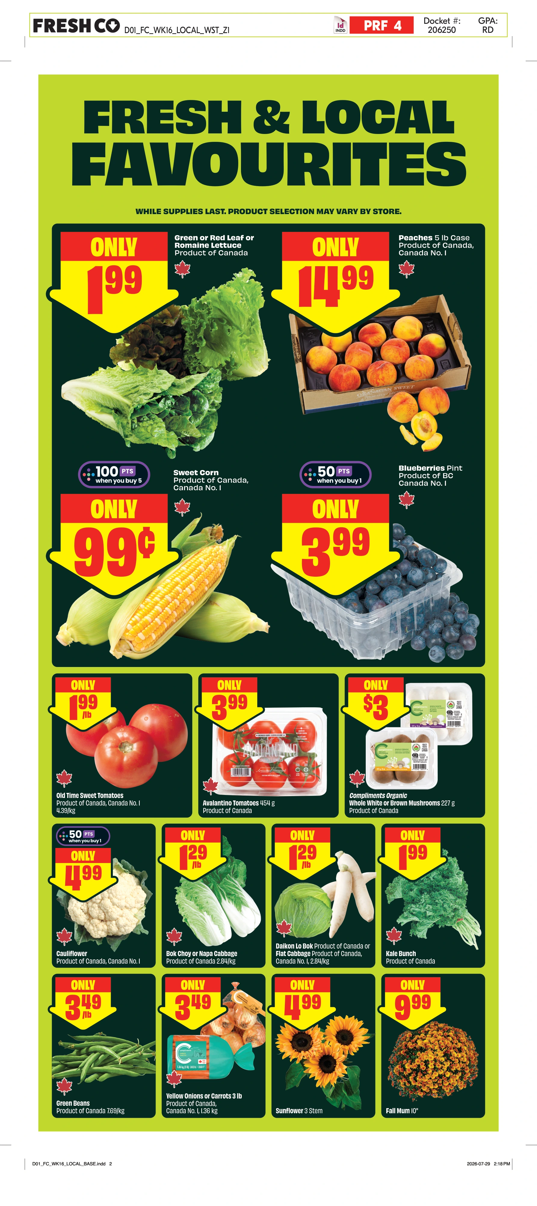 Flyer page 5