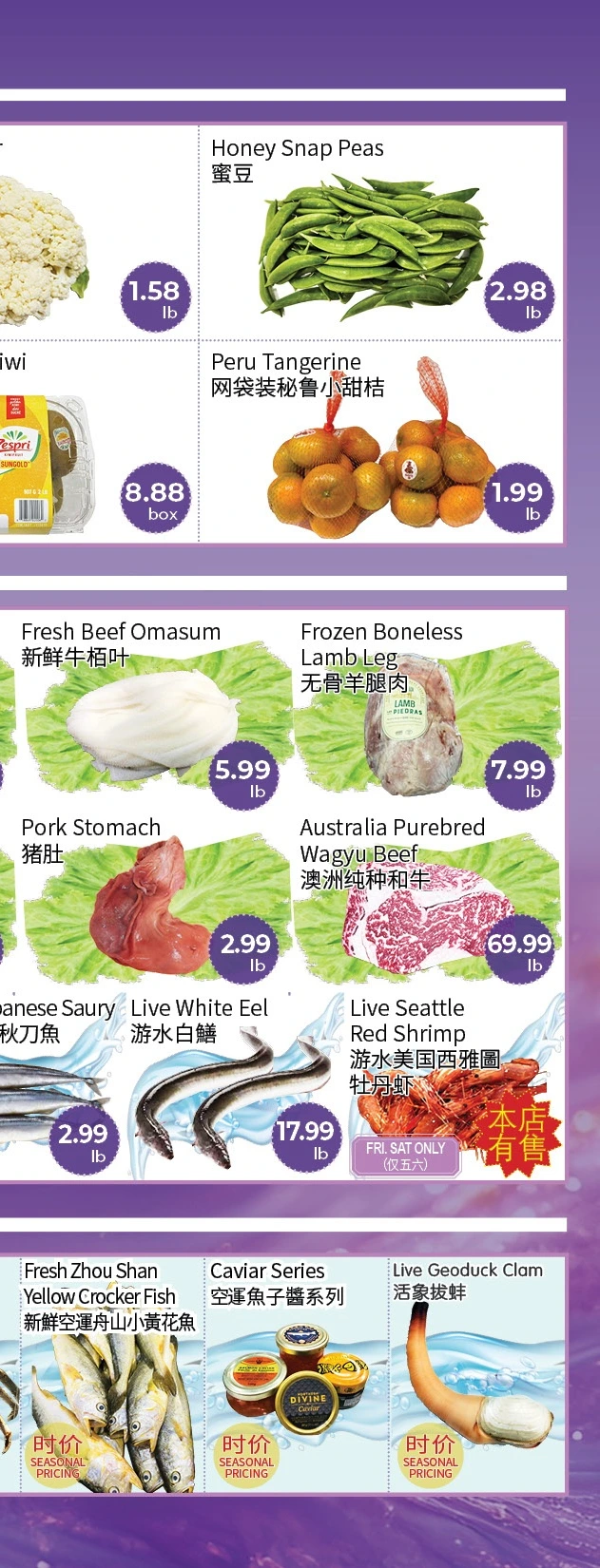 Flyer page 8