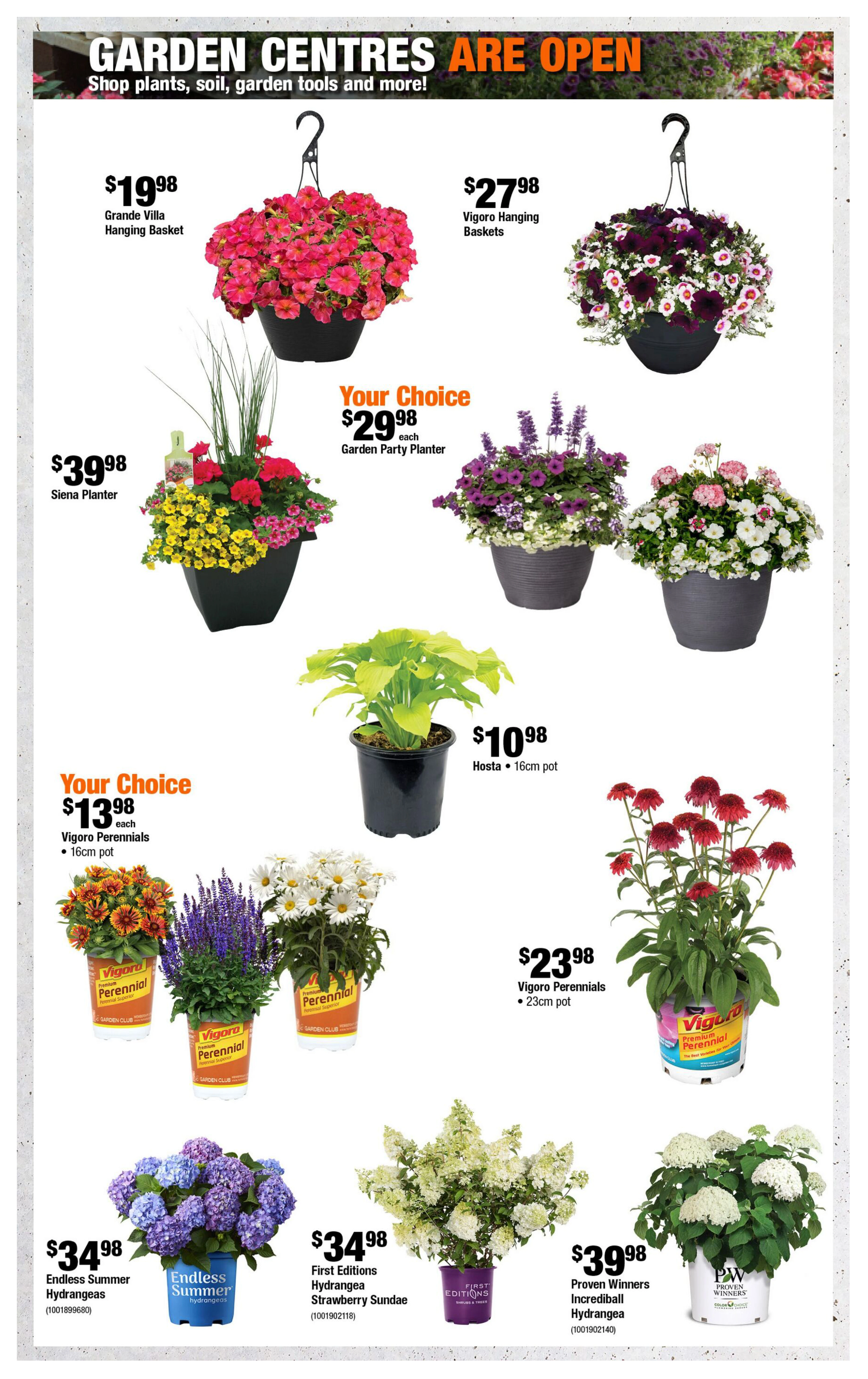 Flyer page 5