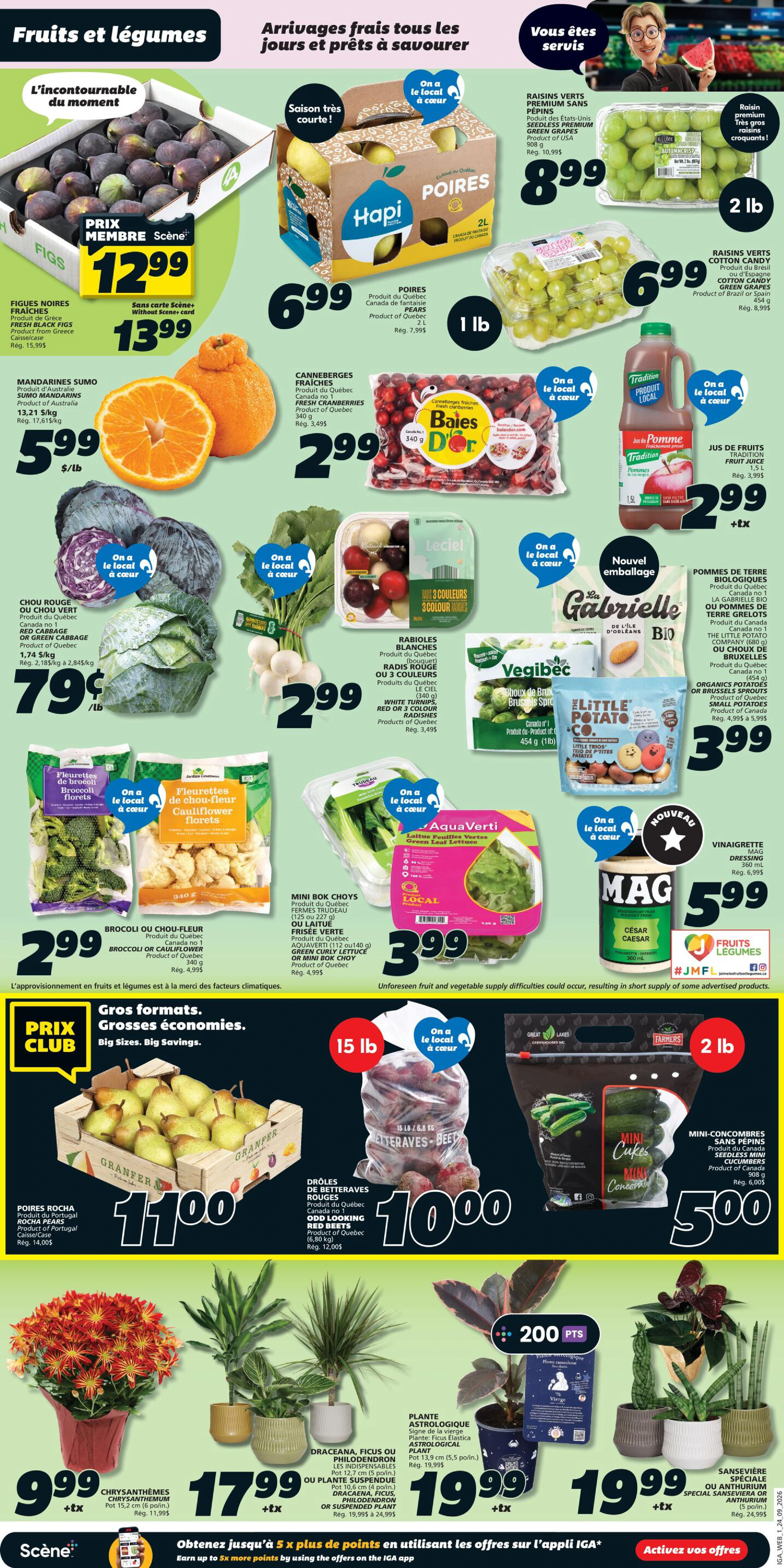IGA Quebec Weekly eFlyer - Page 3