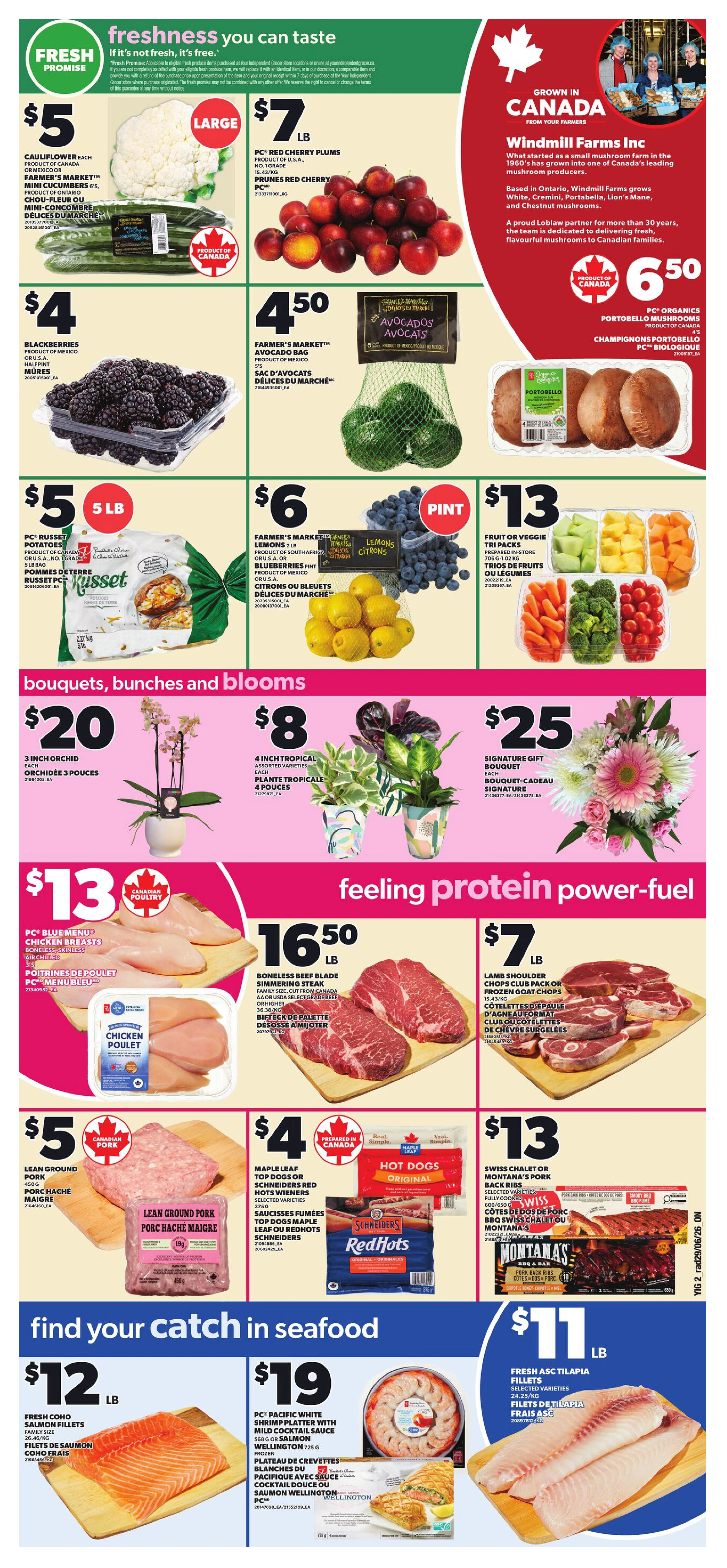 Flyer page 4
