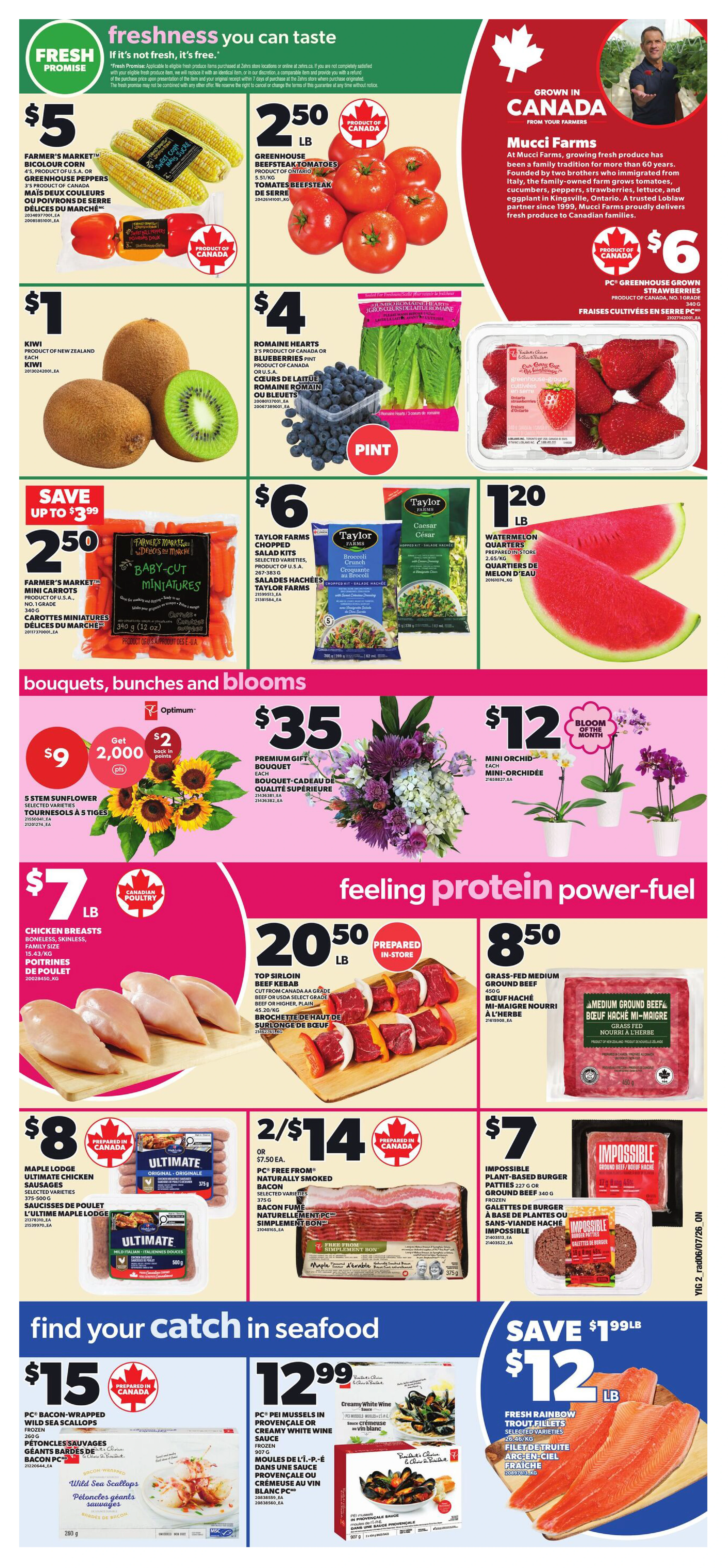 Flyer page 4