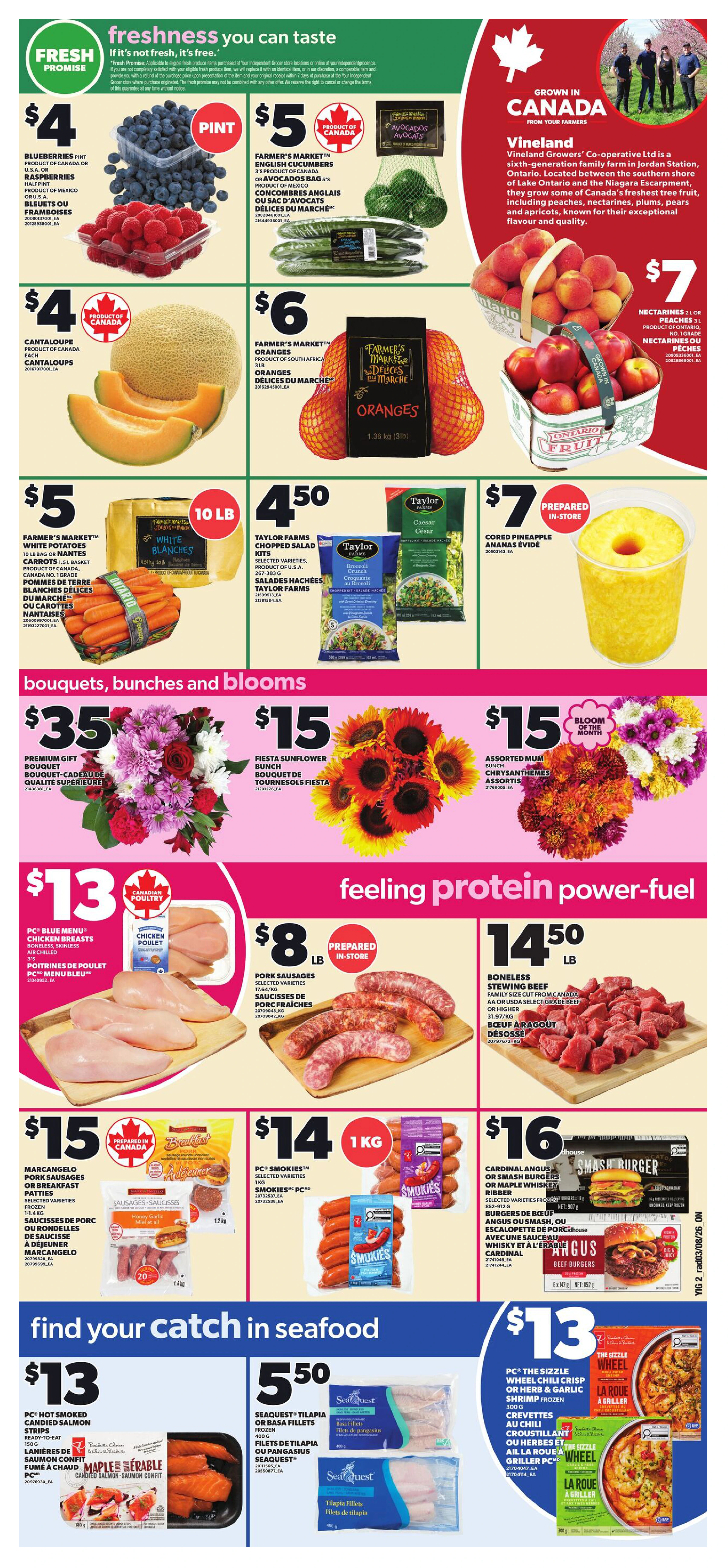 Flyer page 3