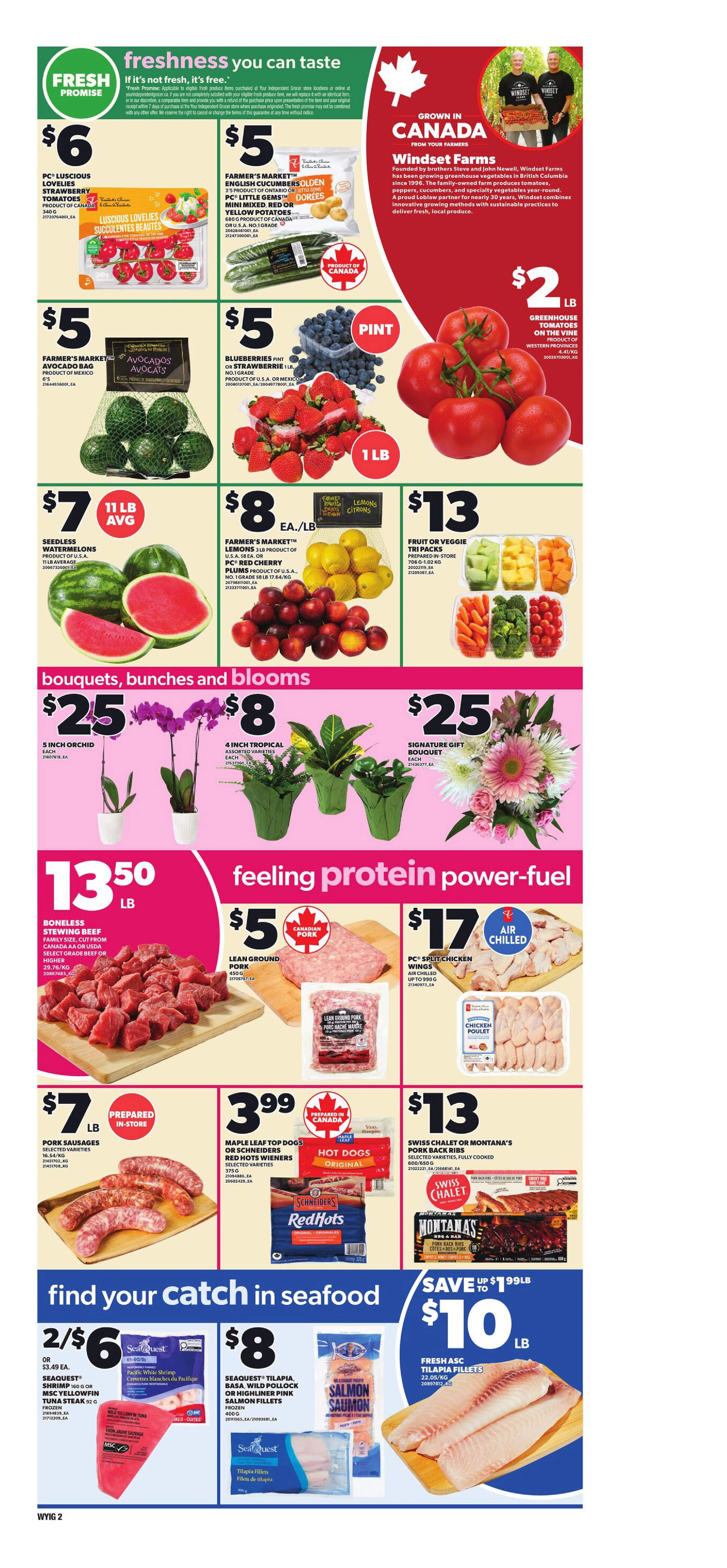 Flyer page 4