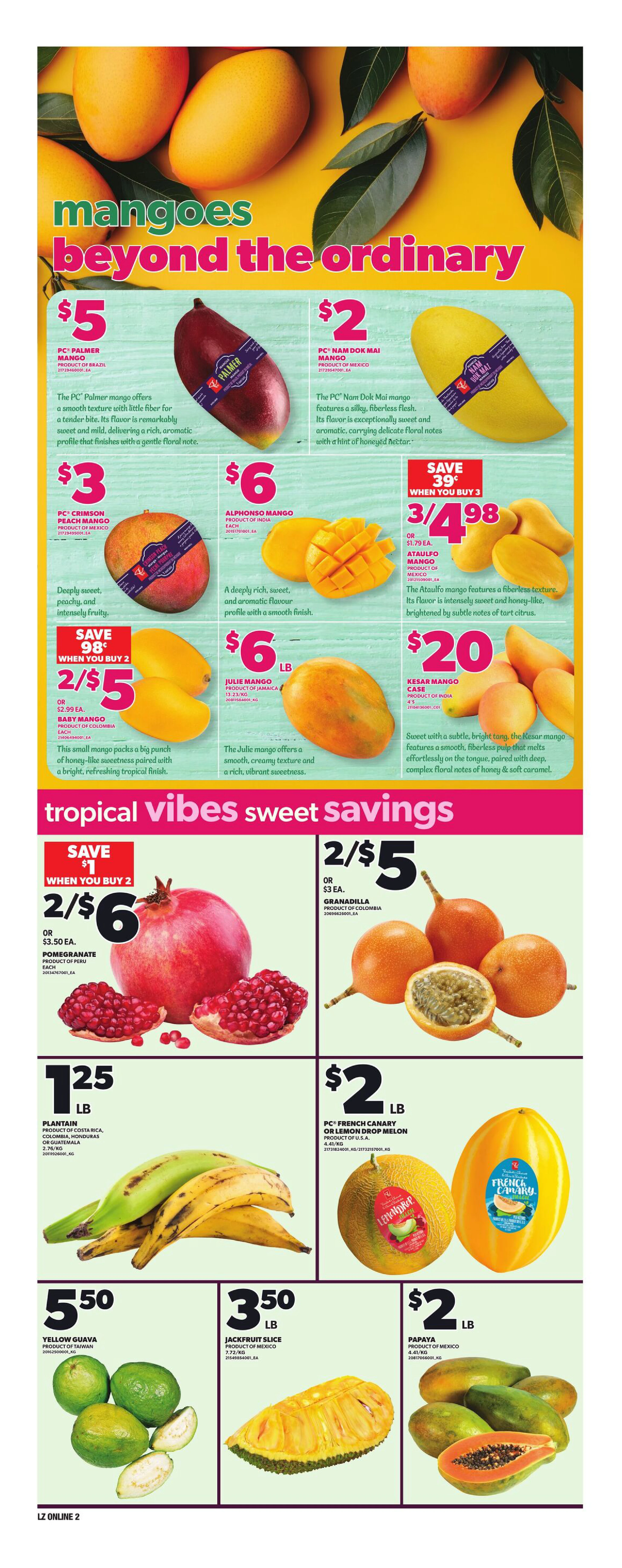 Flyer page 8