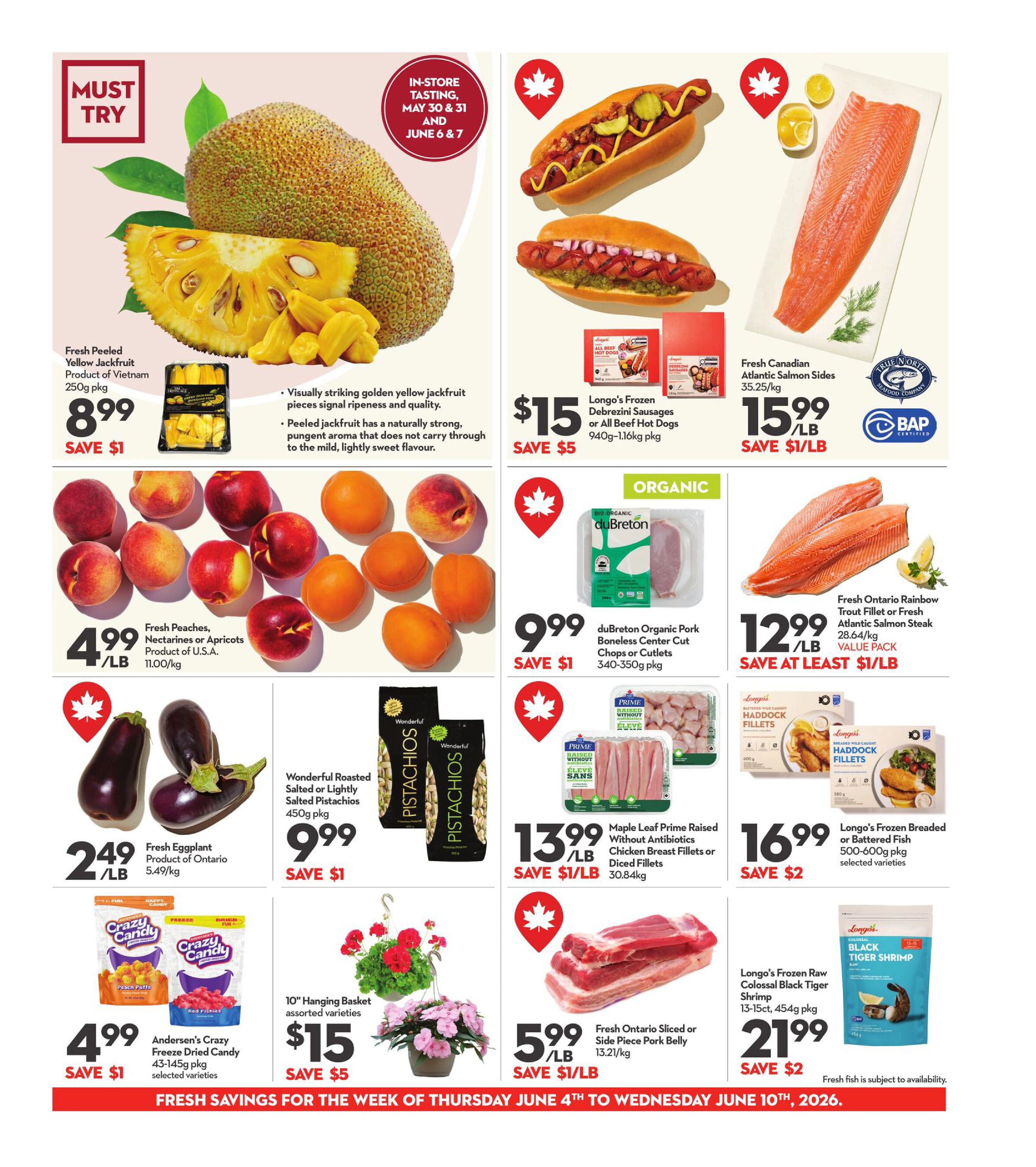 Flyer page 5