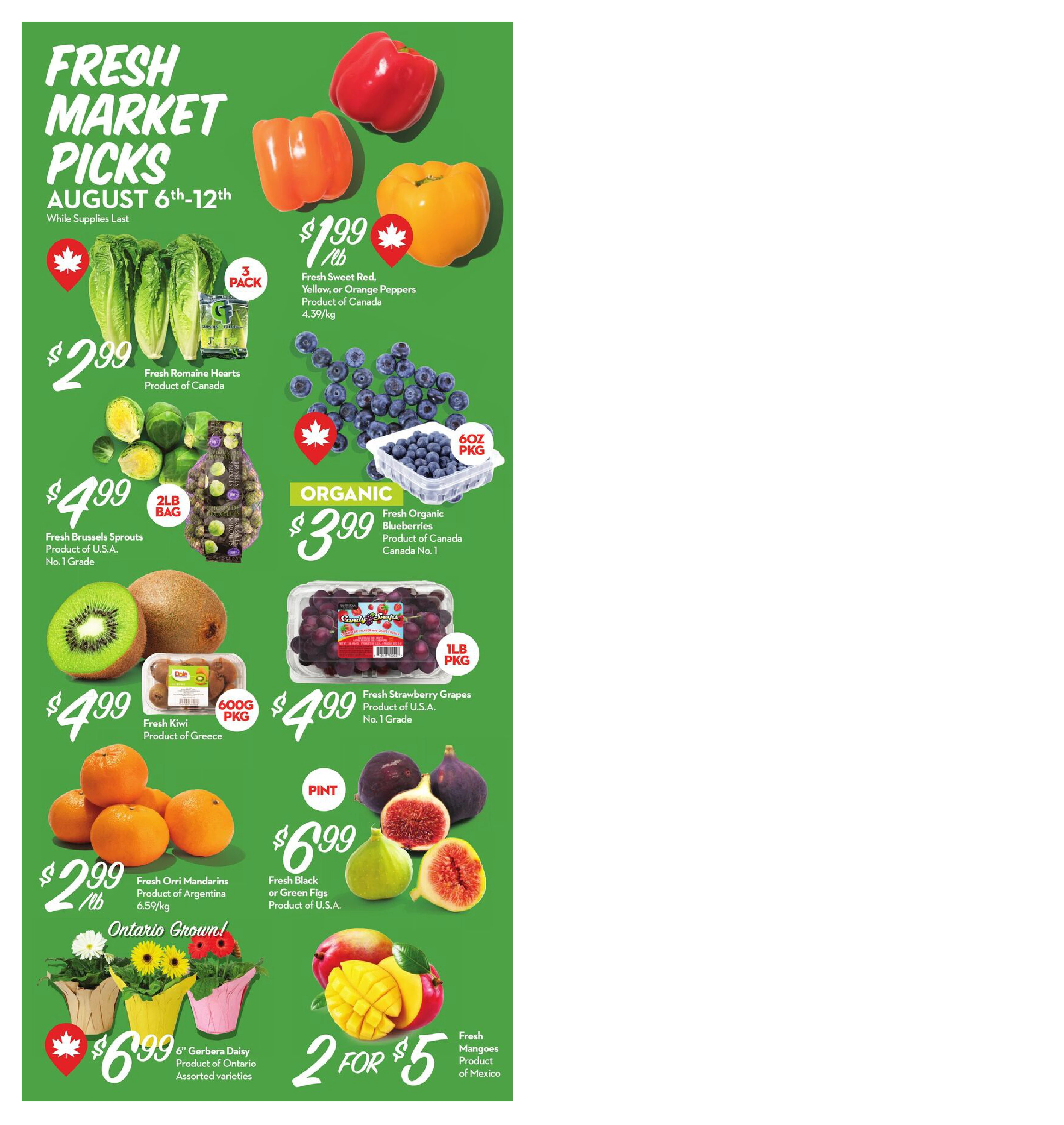 Flyer page 2