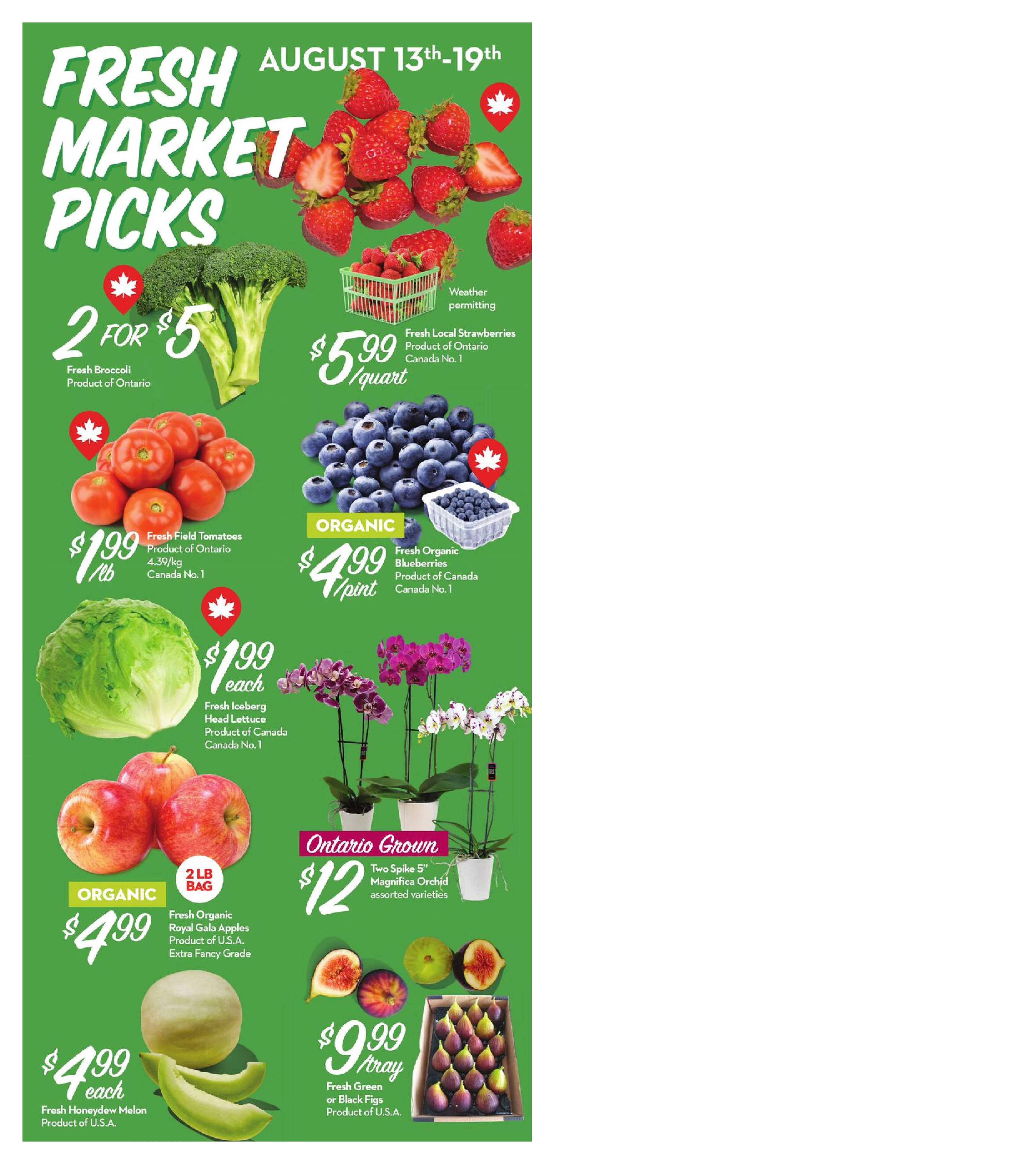 Flyer page 2